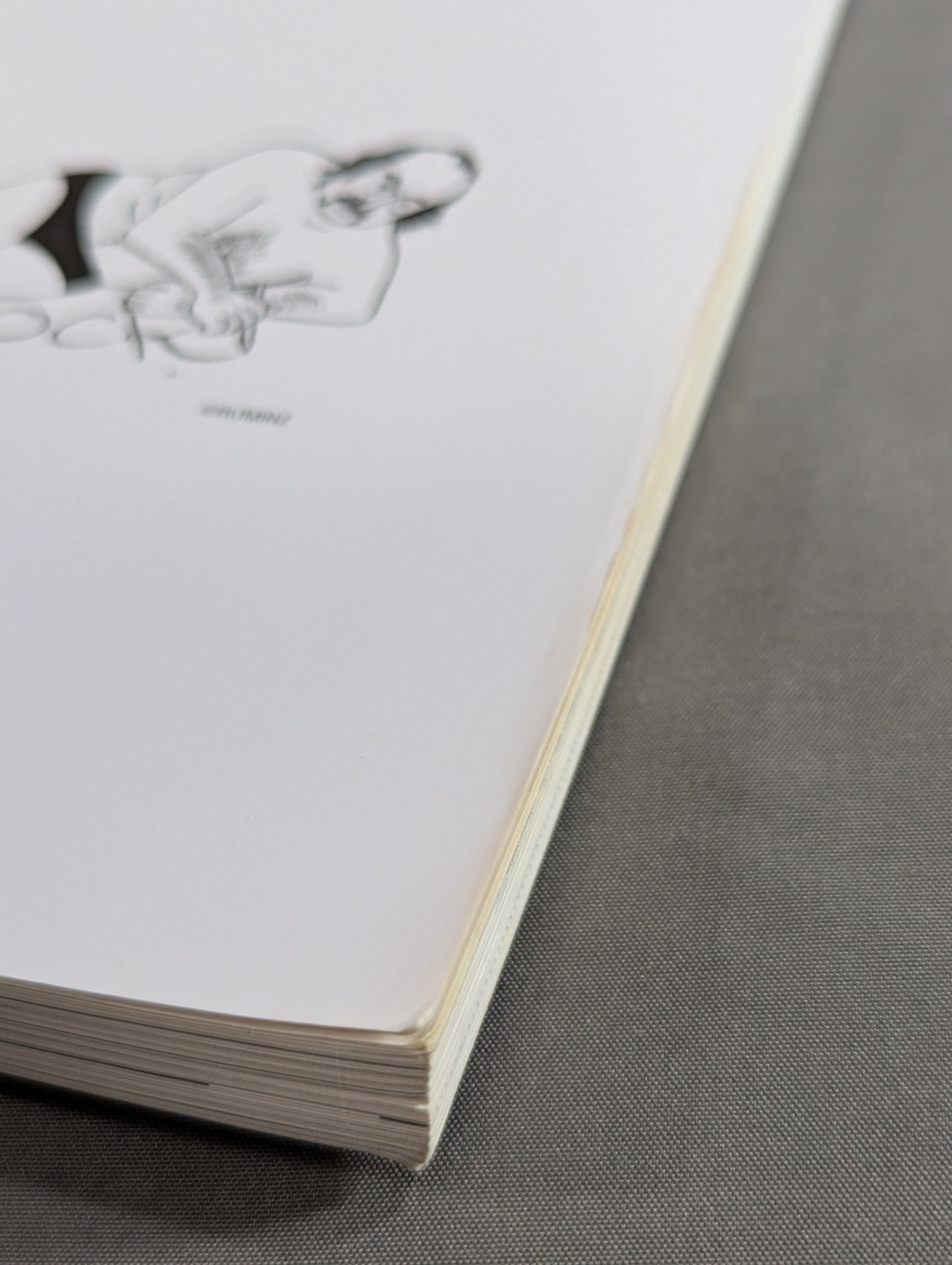 KAMINOGE Vol.63 / Longevity is the Strongest! Yoshiaki Fujiwara