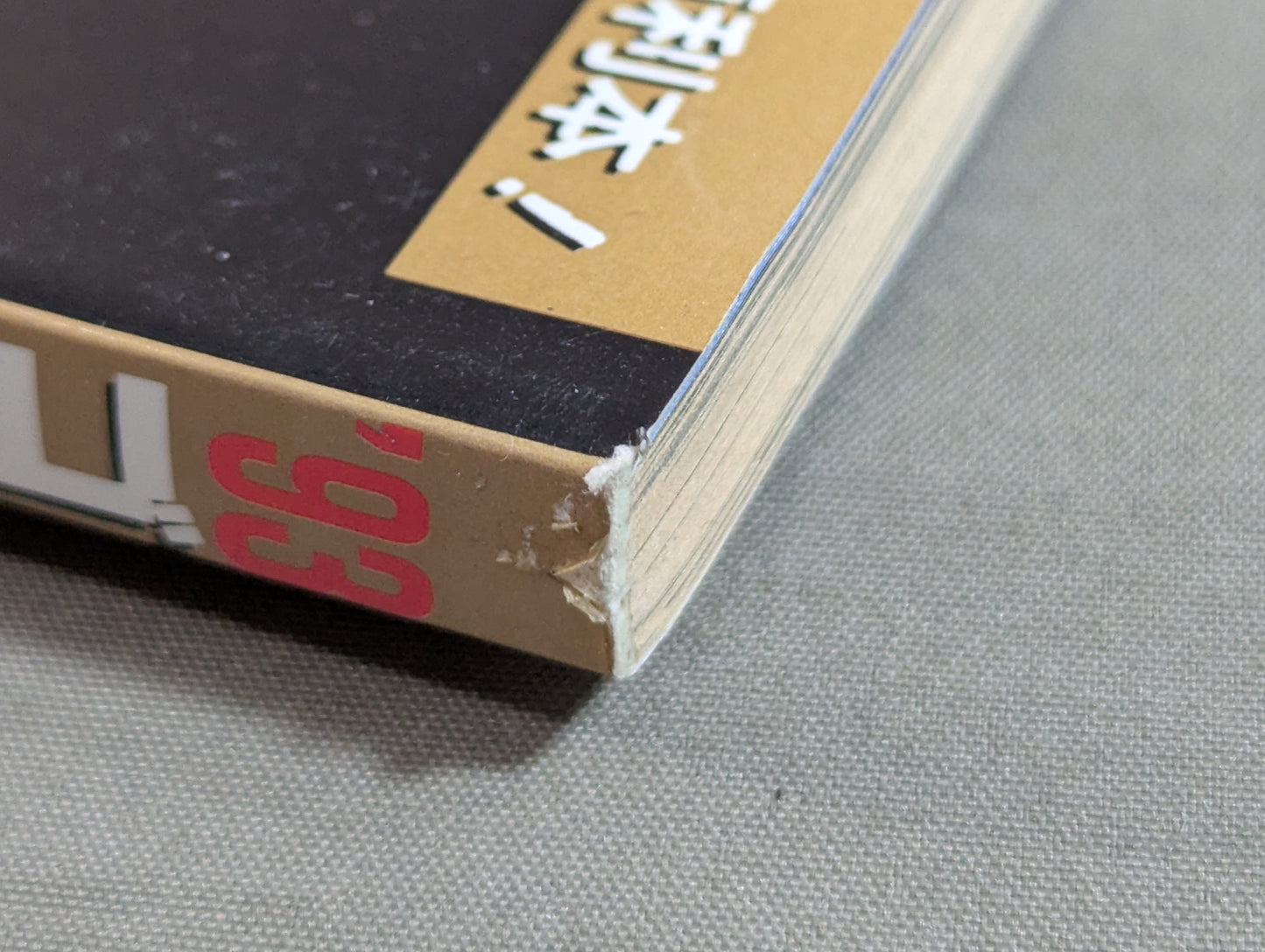 93 Gong Pro Wrestling Perfect Guide