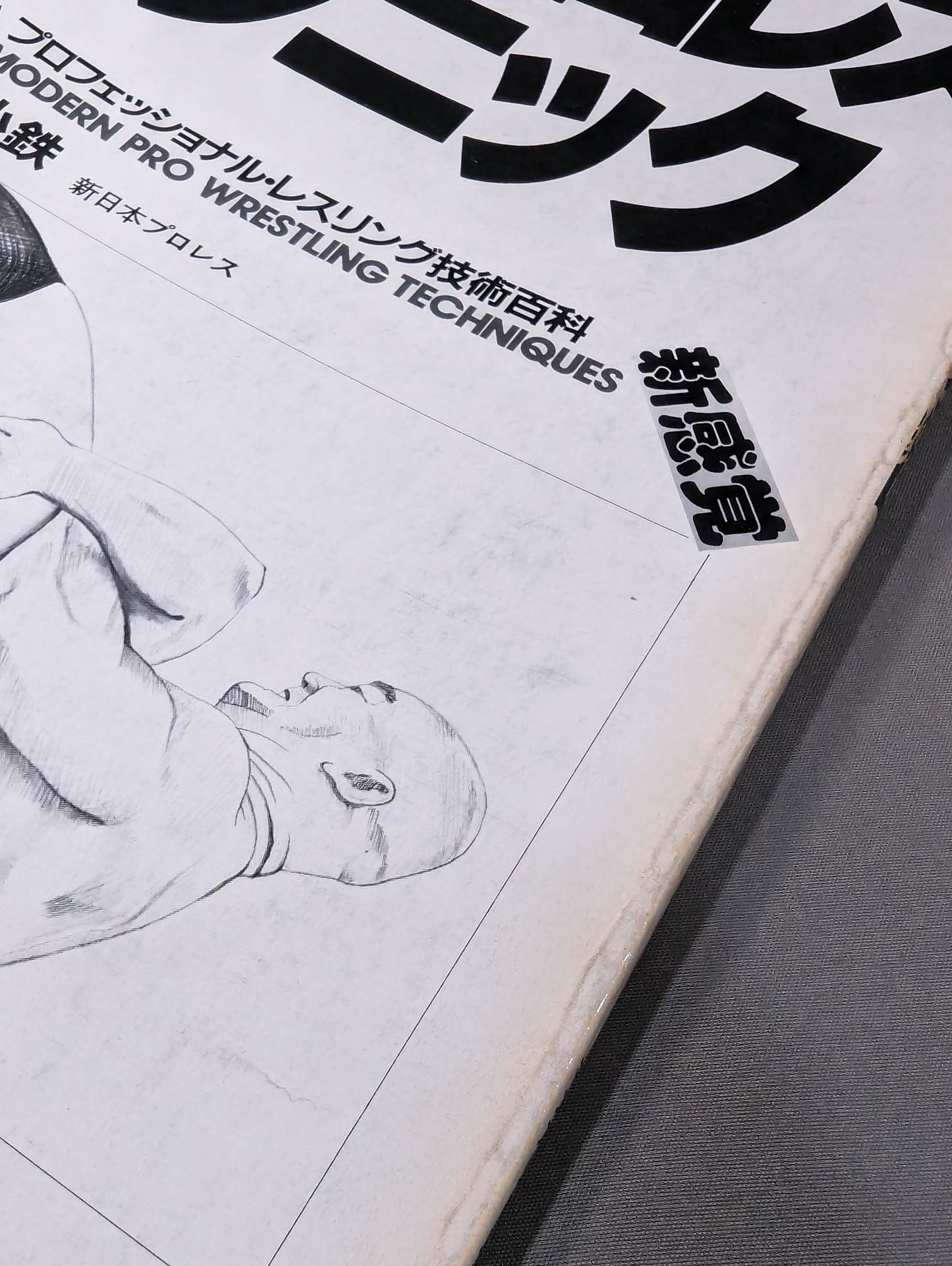 現代プロレステクニック 《保存版》プロフェッショナル・レスリング技術百科