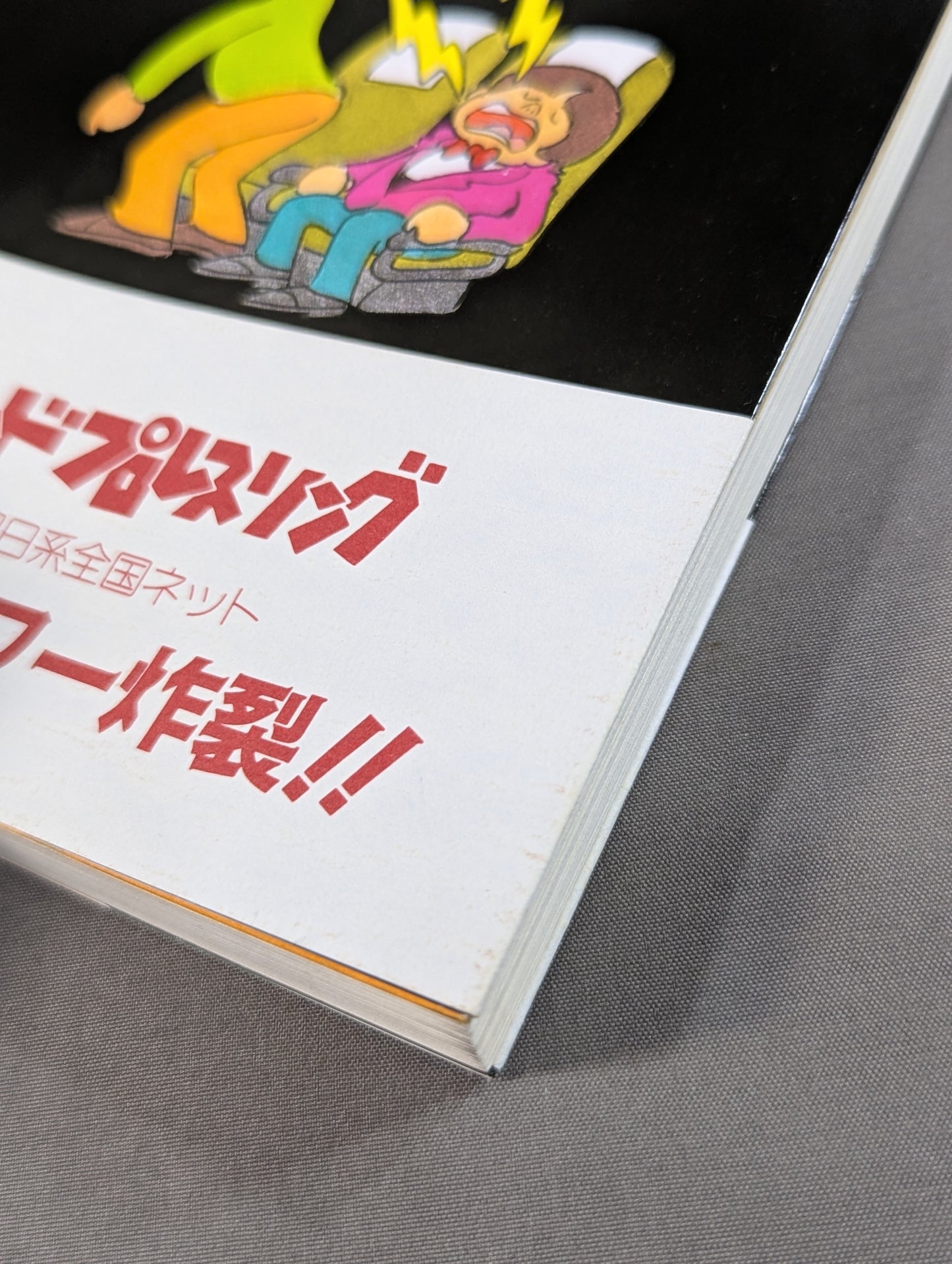 I love Pro Wrestling after all New Japan Pro Wrestling Diary