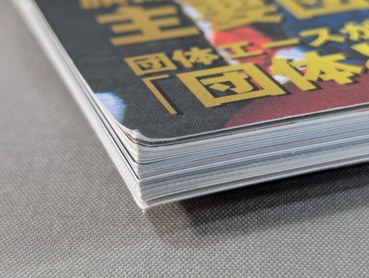 発掘!日本プロレス60年史 団体編 :団体興亡史