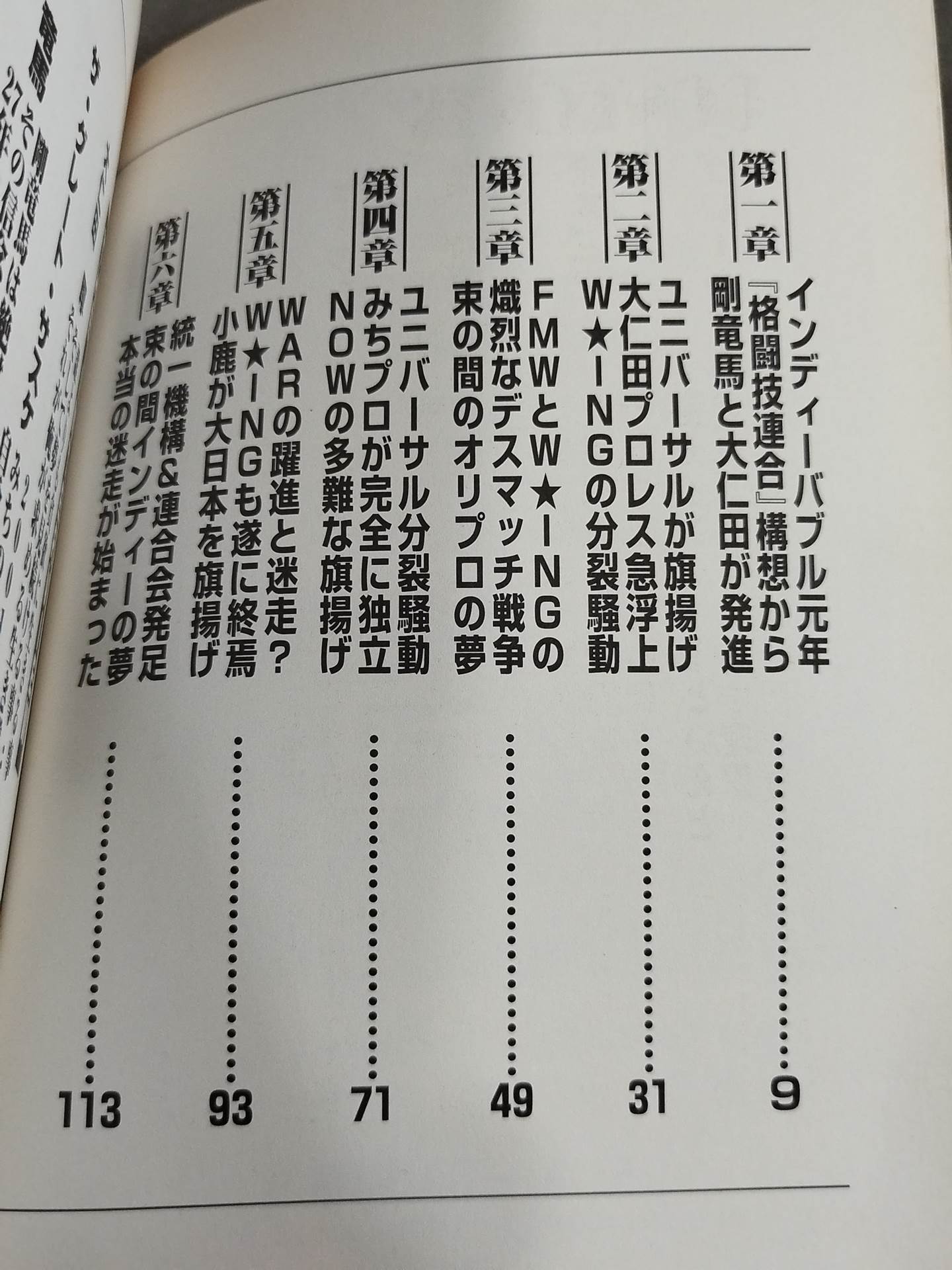 プロレス虚泡団体の真実