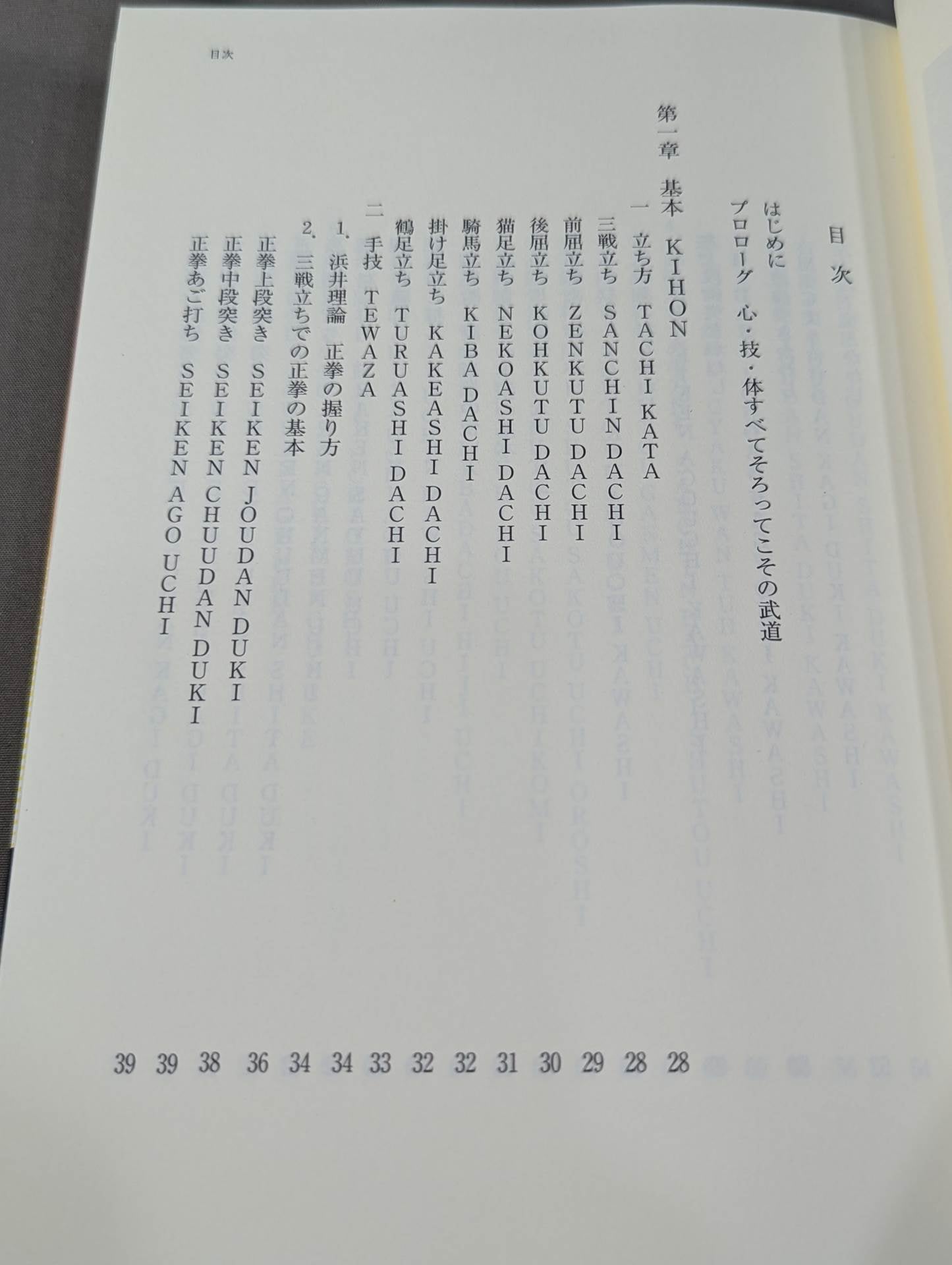 ザ・ブラジル極真  世界を制する一撃カラテ、結実した極真魂