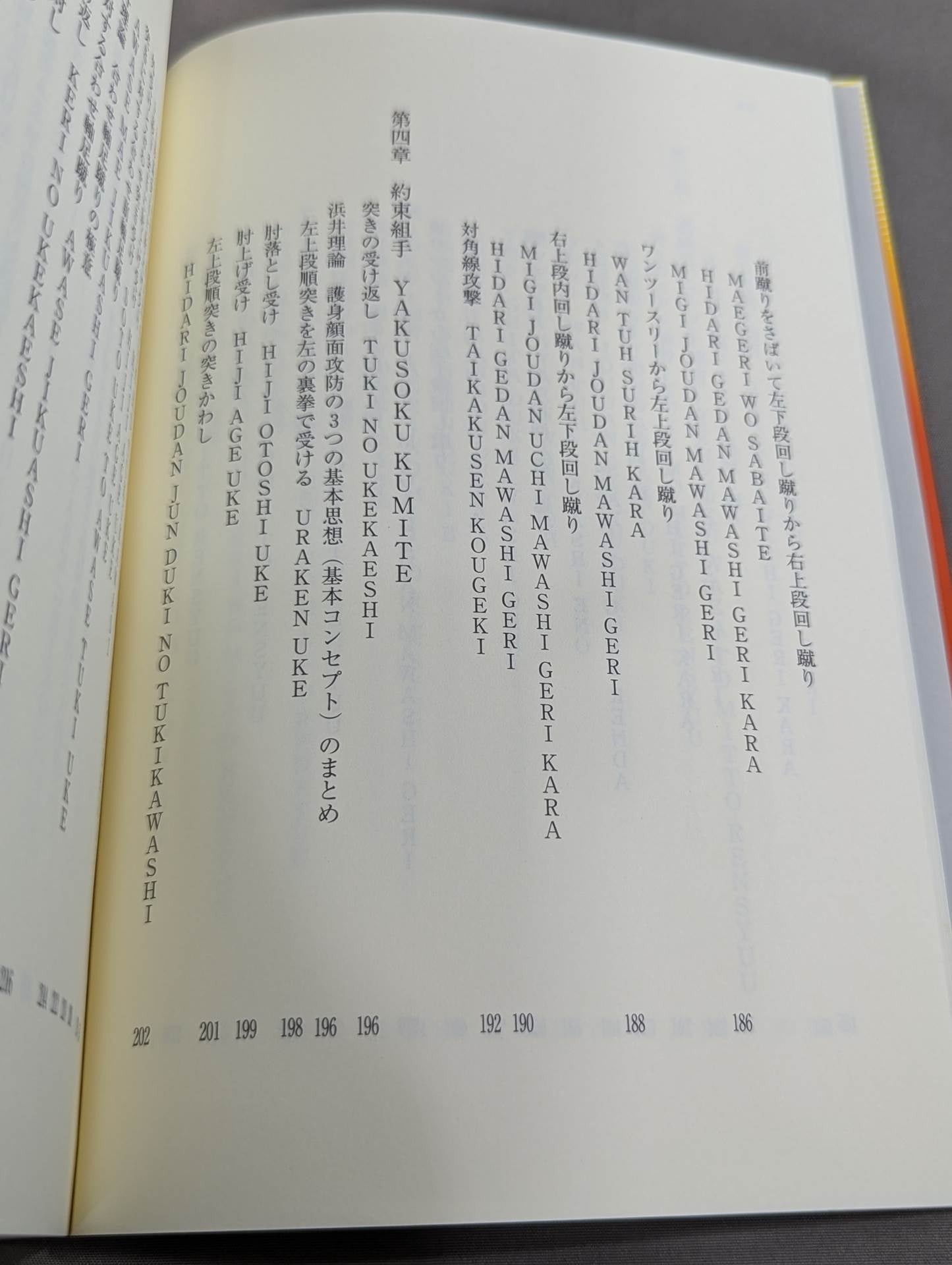 ザ・ブラジル極真  世界を制する一撃カラテ、結実した極真魂