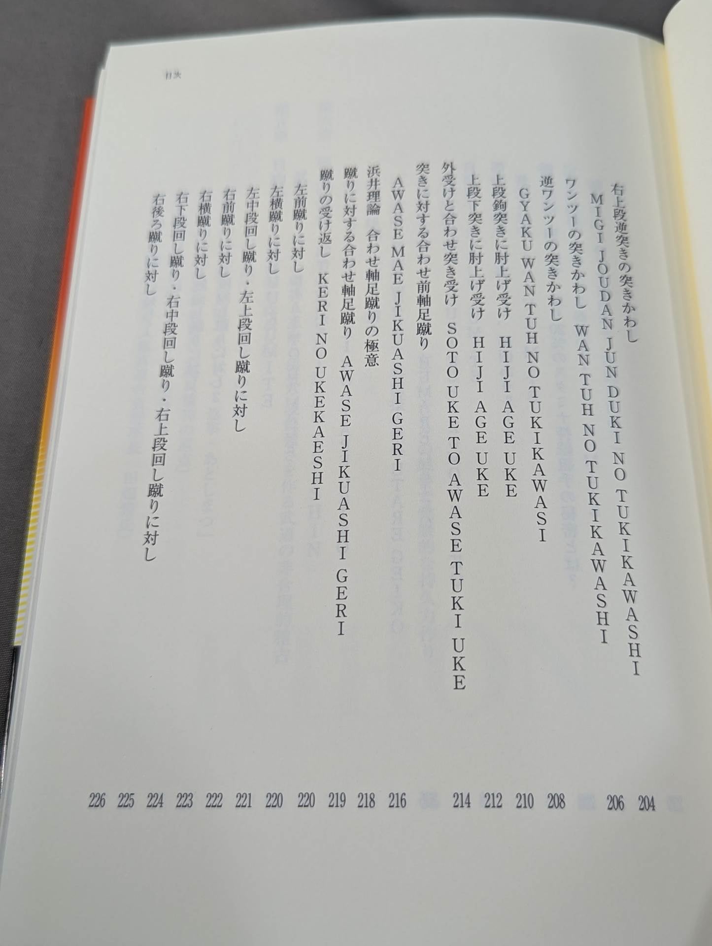 ザ・ブラジル極真  世界を制する一撃カラテ、結実した極真魂