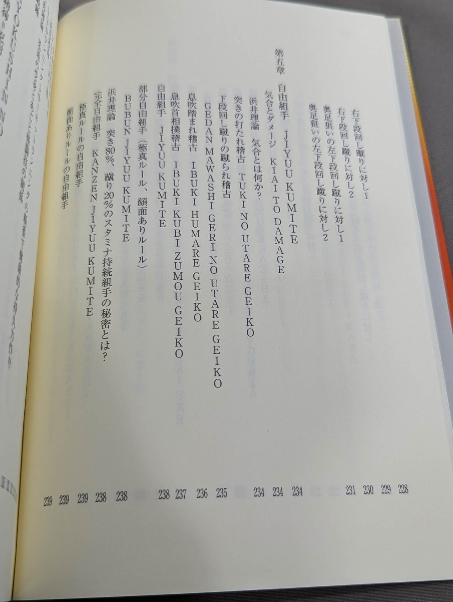 ザ・ブラジル極真  世界を制する一撃カラテ、結実した極真魂