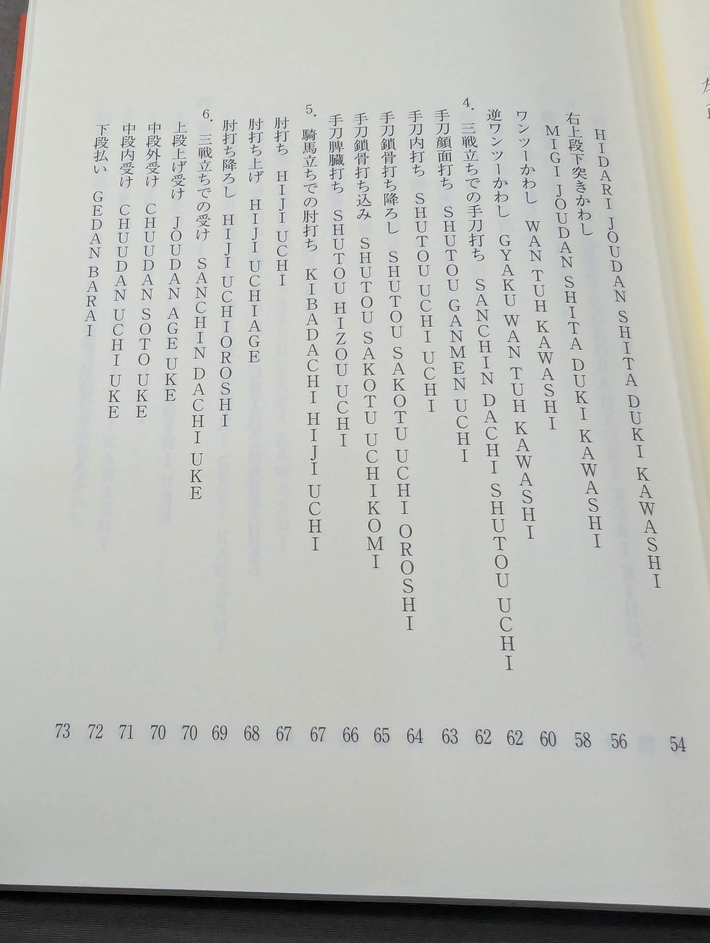 ザ・ブラジル極真  世界を制する一撃カラテ、結実した極真魂