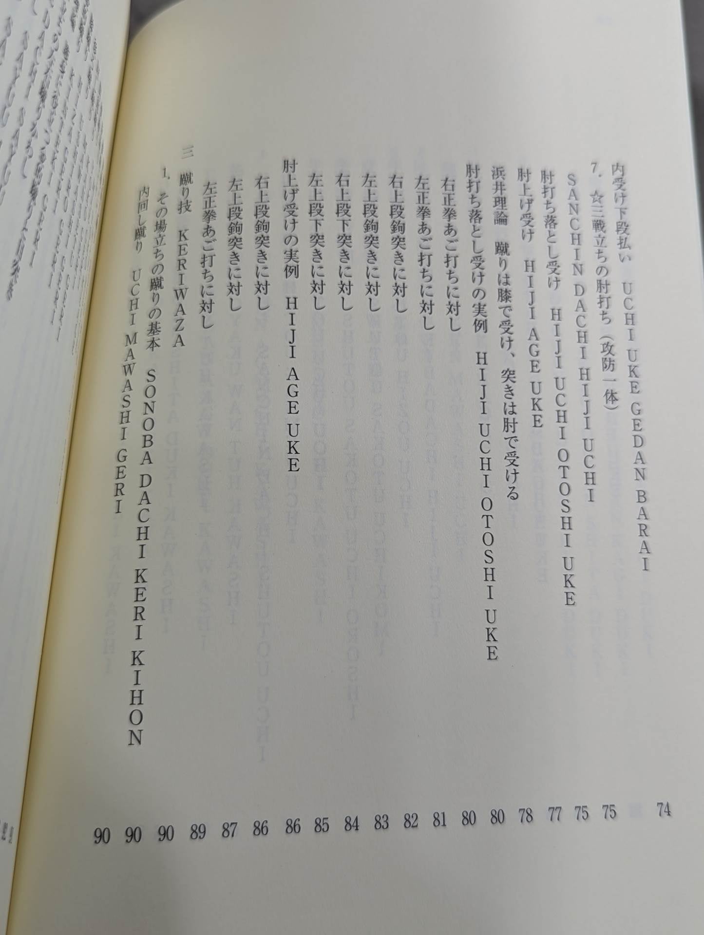 ザ・ブラジル極真  世界を制する一撃カラテ、結実した極真魂