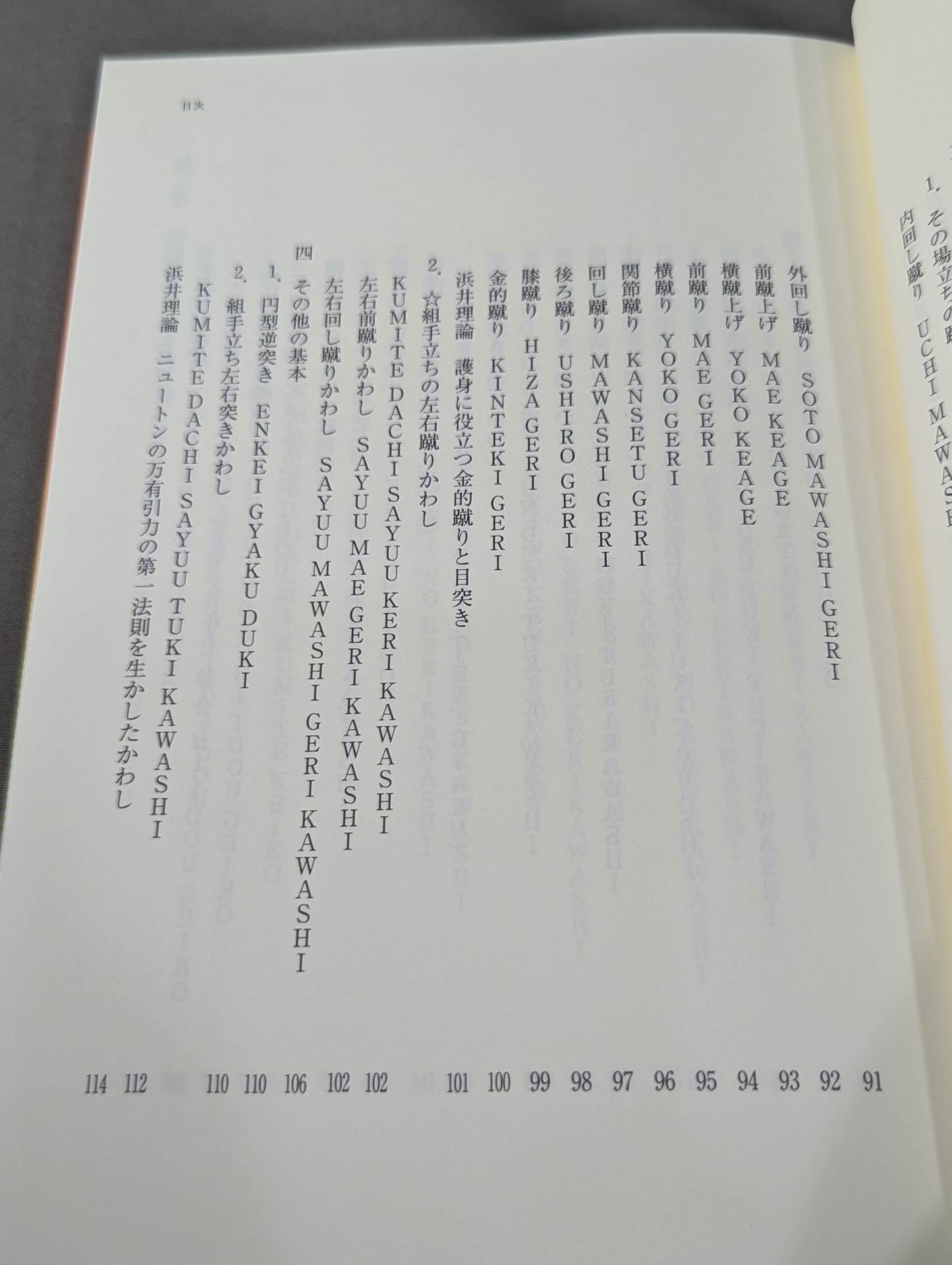 ザ・ブラジル極真  世界を制する一撃カラテ、結実した極真魂