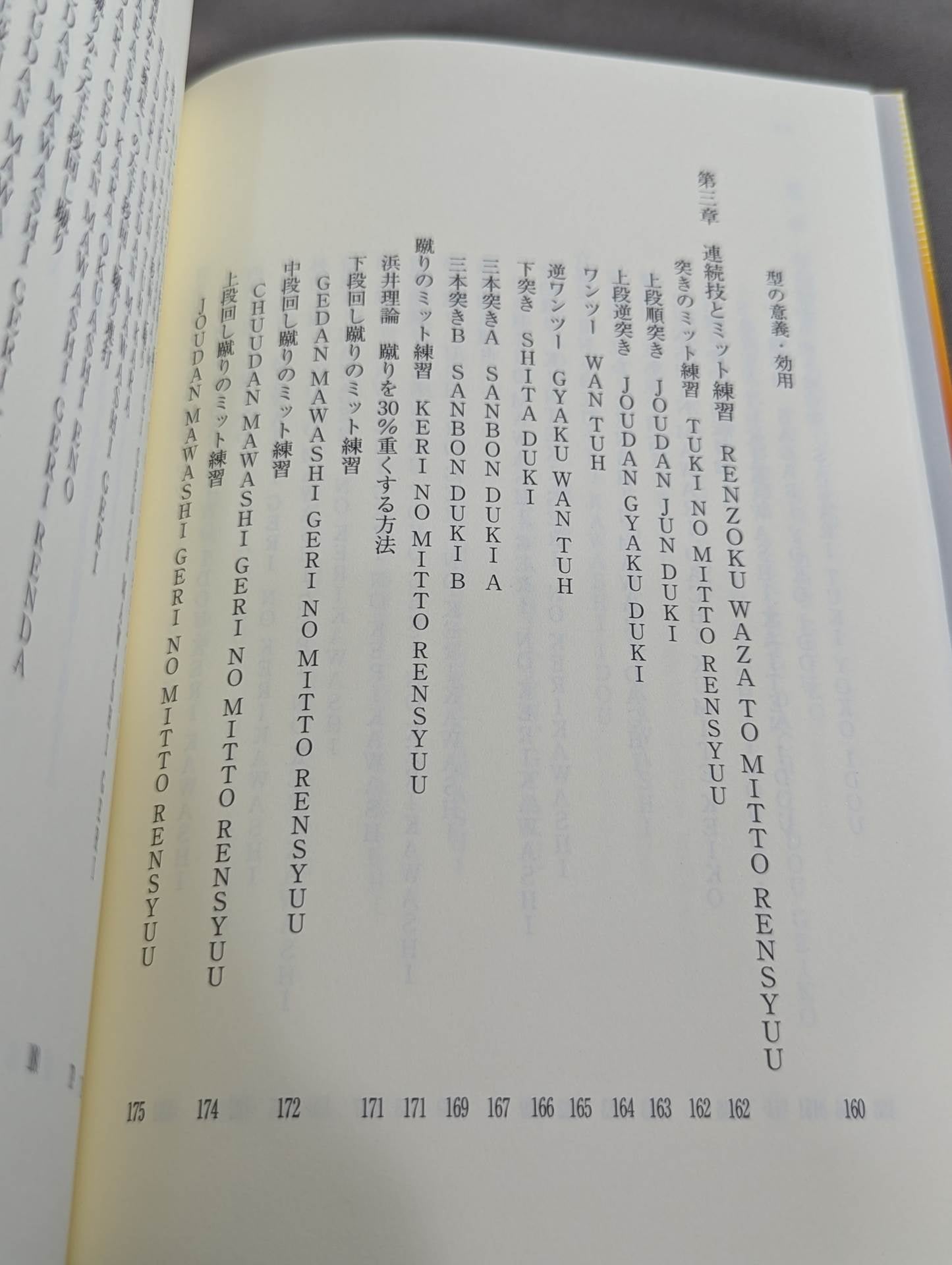 ザ・ブラジル極真  世界を制する一撃カラテ、結実した極真魂