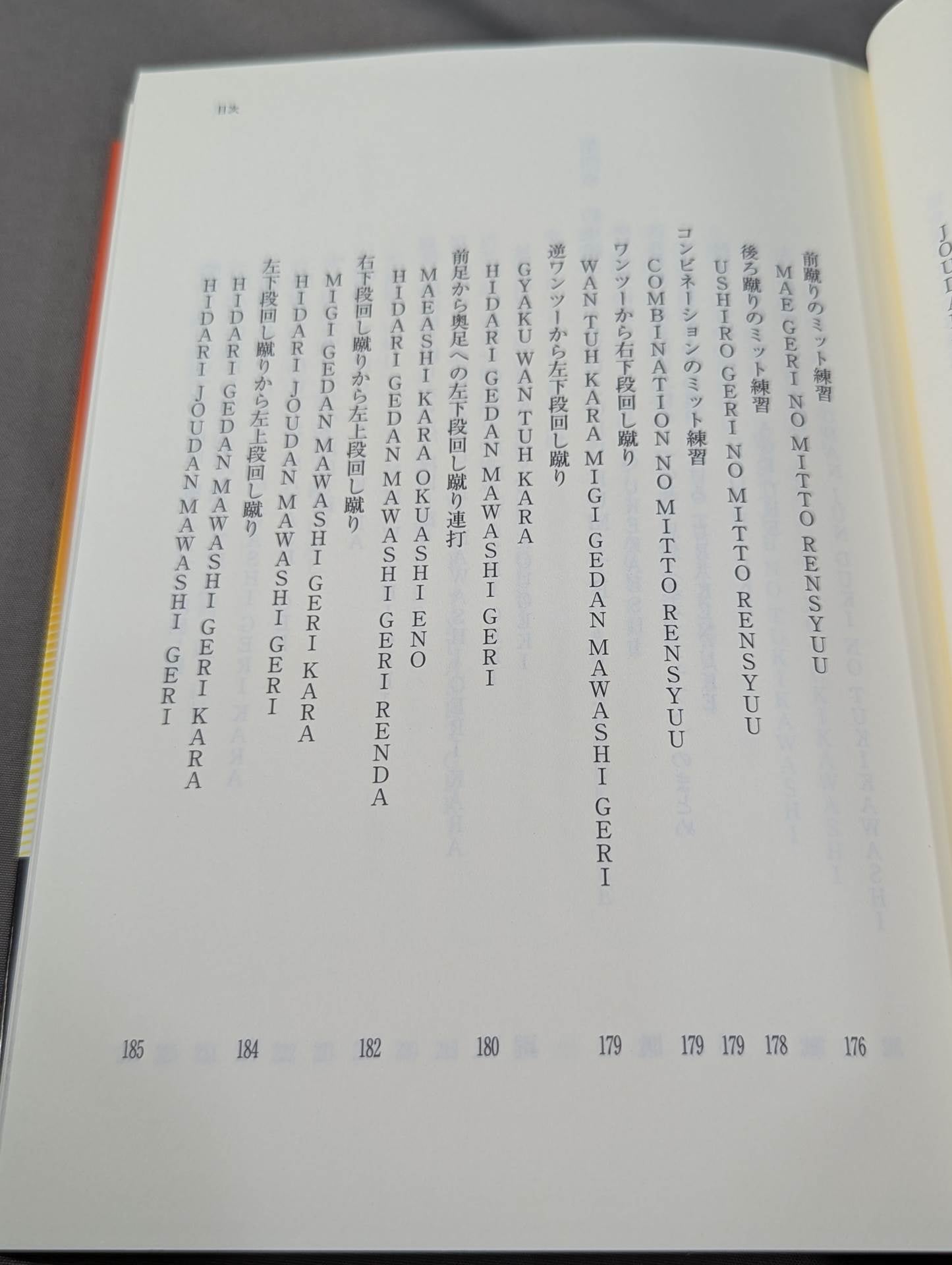 ザ・ブラジル極真  世界を制する一撃カラテ、結実した極真魂