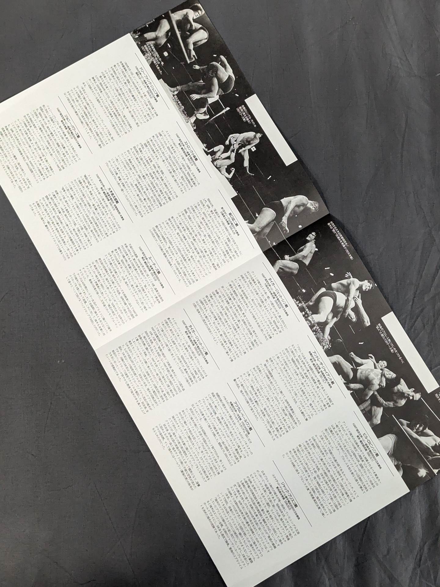 Fighting Spirit Memorial File -Antonio Inoki Trails of Passionate Struggle- vol.1