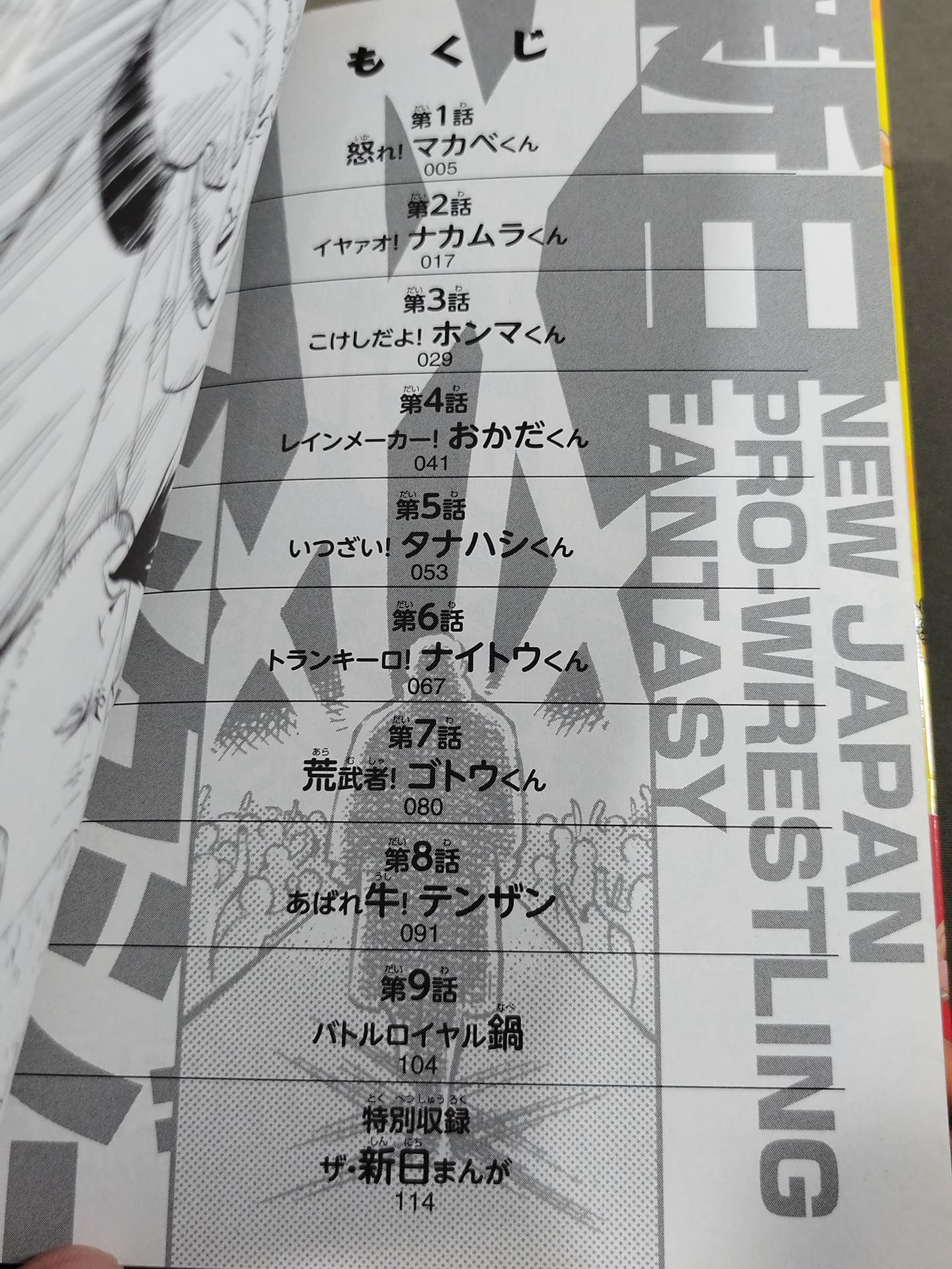New Japan Fantasy (1)