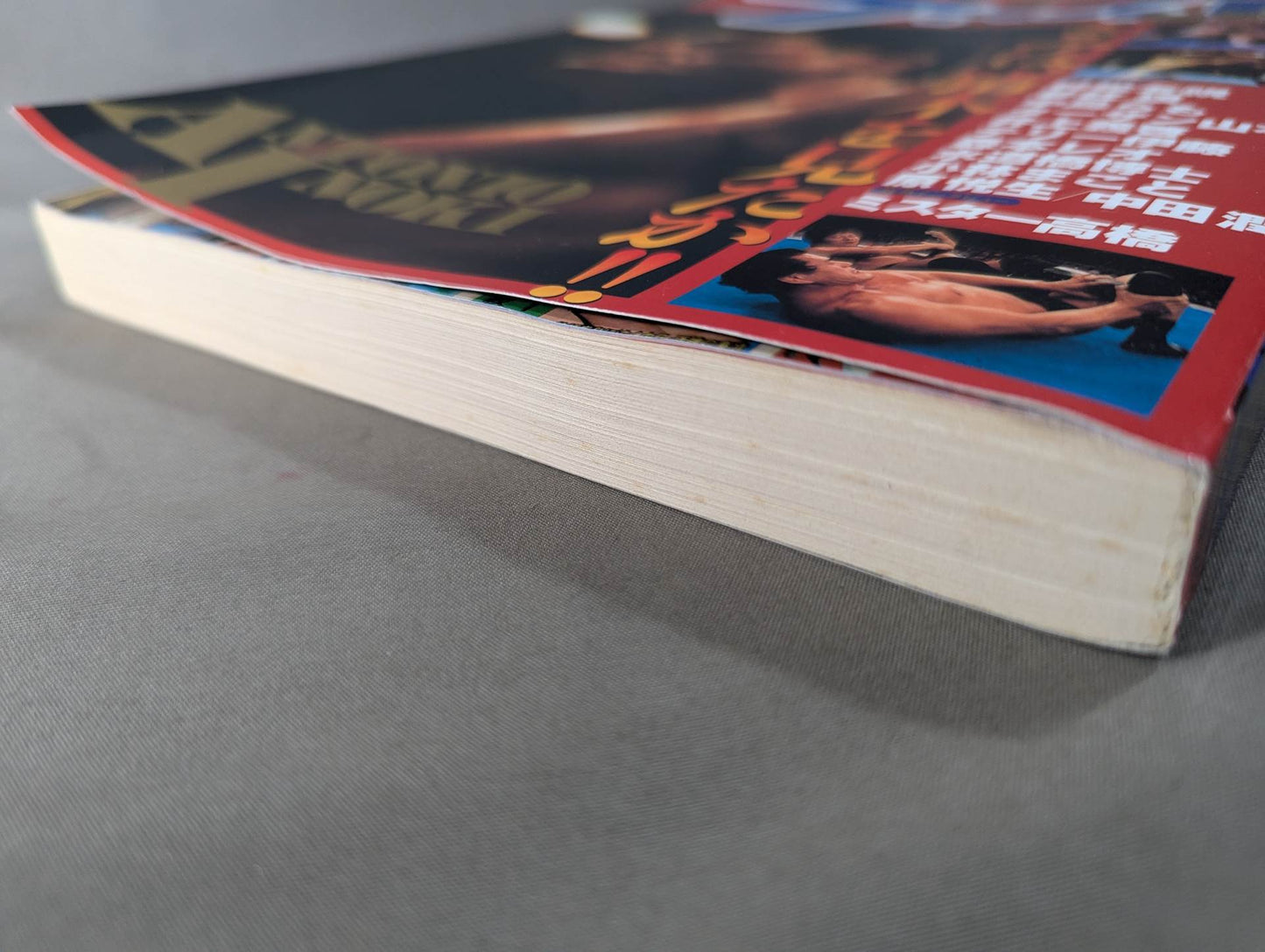 ファイト縮刷版 アントニオ猪木引退記念