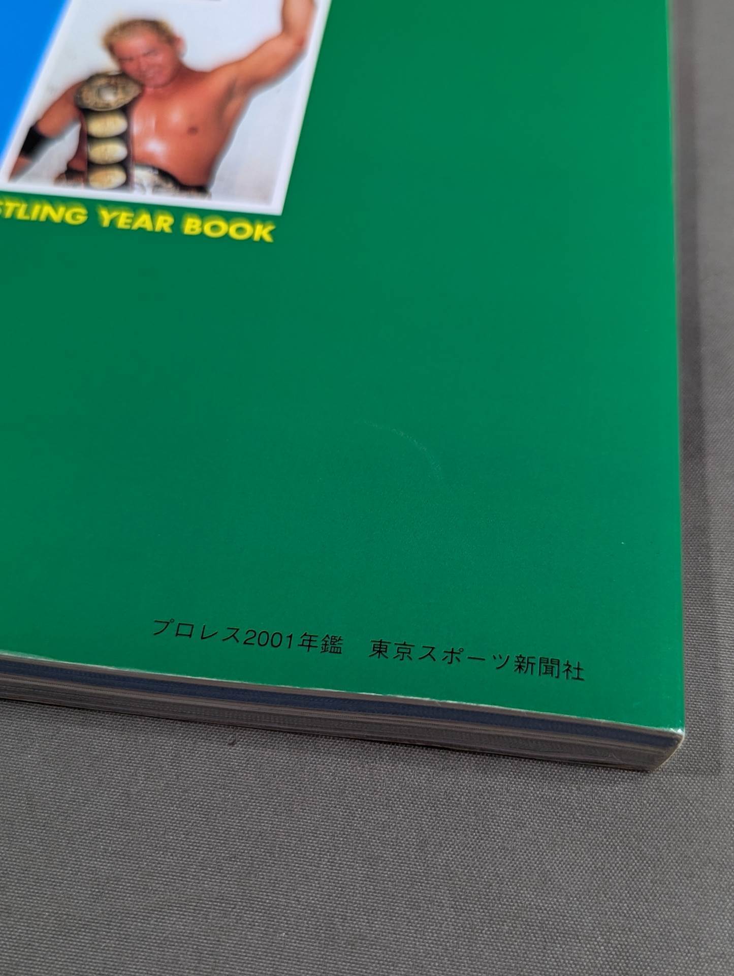 PRO-Wrestling YEAR BOOK Visual 2001 / Pro Wrestling Chronology 2001 Complete Preservation Version Case Testimony