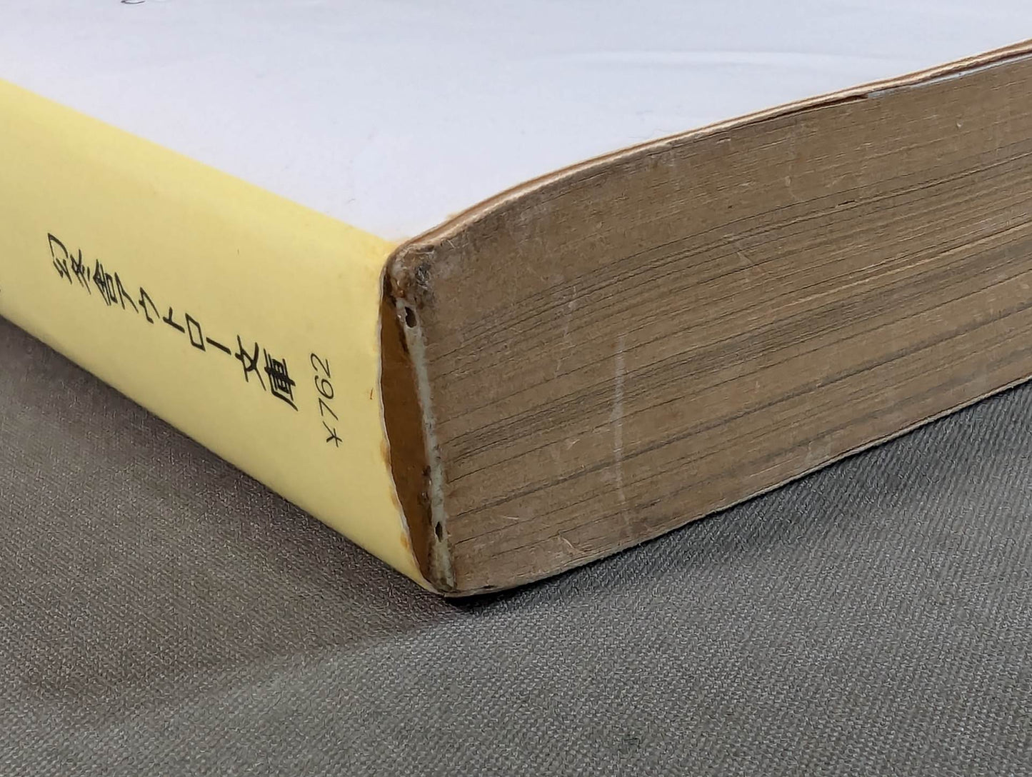 烈闘生 傷だらけの履歴書 増補改訂版