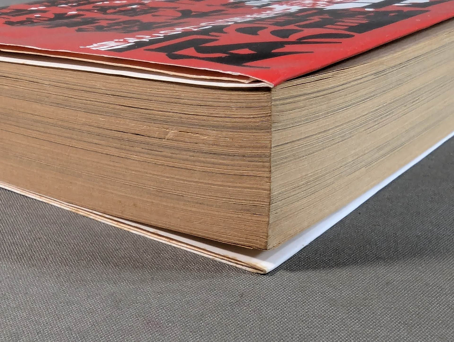 烈闘生 傷だらけの履歴書 増補改訂版