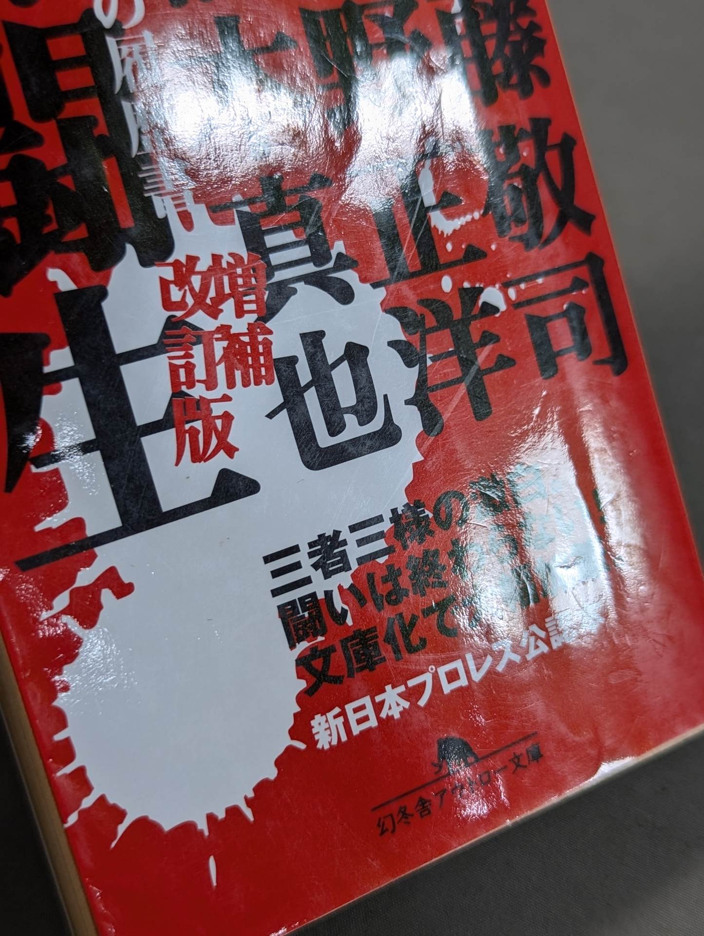 烈闘生 傷だらけの履歴書 増補改訂版