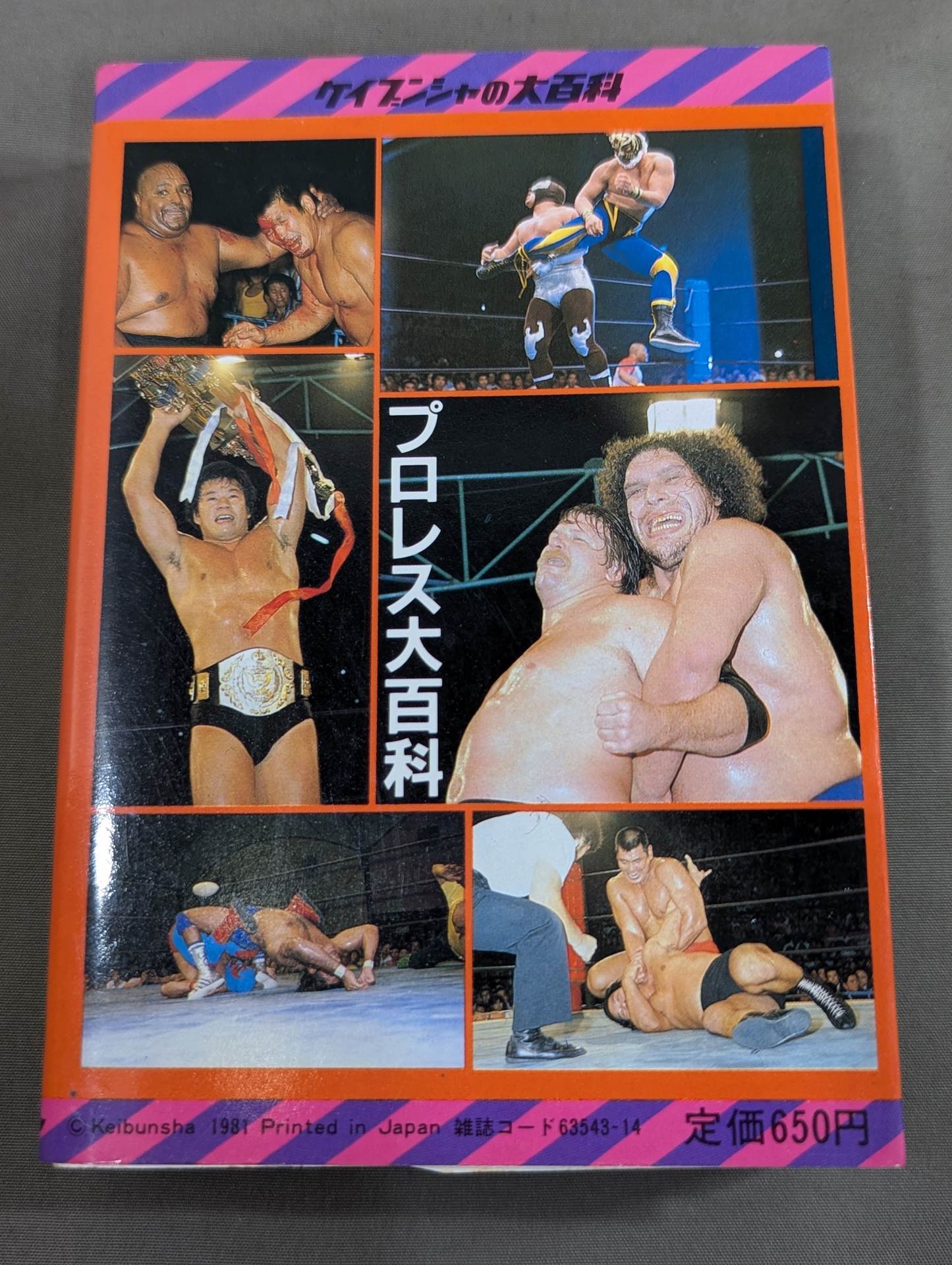 Pro Wrestling Encyclopedia / From wrestlers to special moves, All about Pro Wrestling! 10 Encyclopedia of Kabunsha