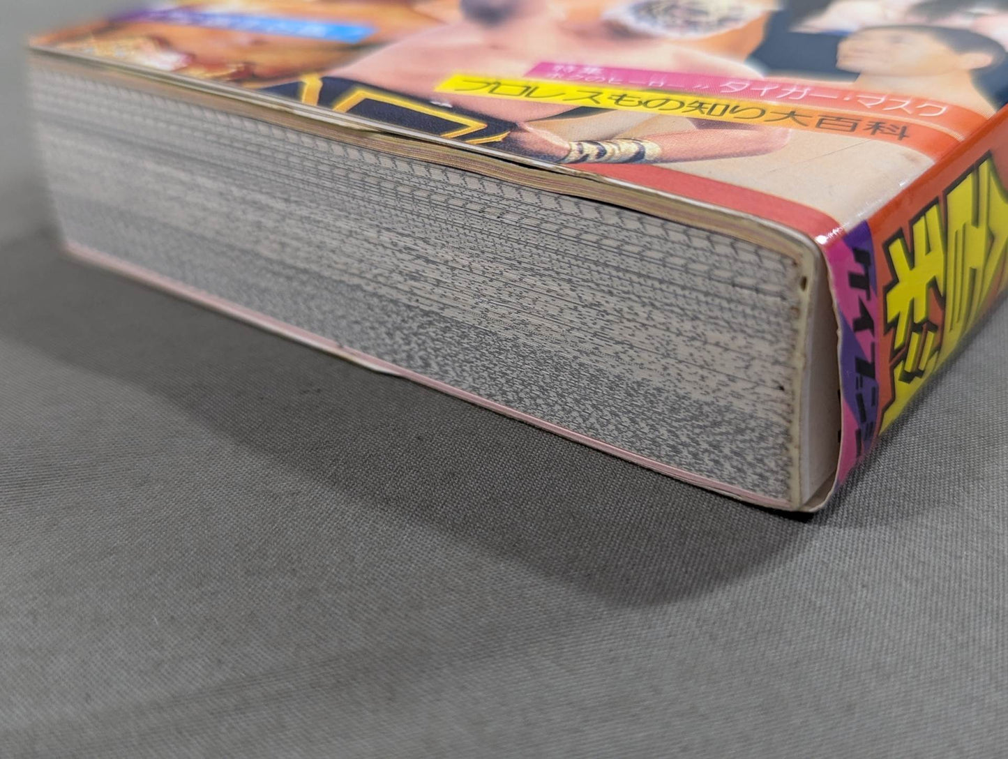 Pro Wrestling Encyclopedia / From wrestlers to special moves, All about Pro Wrestling! 10 Encyclopedia of Kabunsha