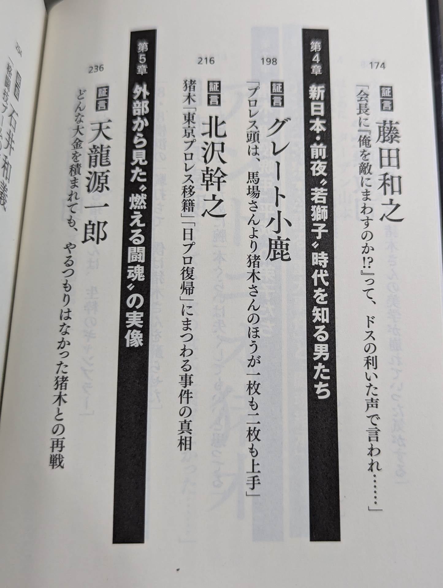 The Truth About Inoki Legend