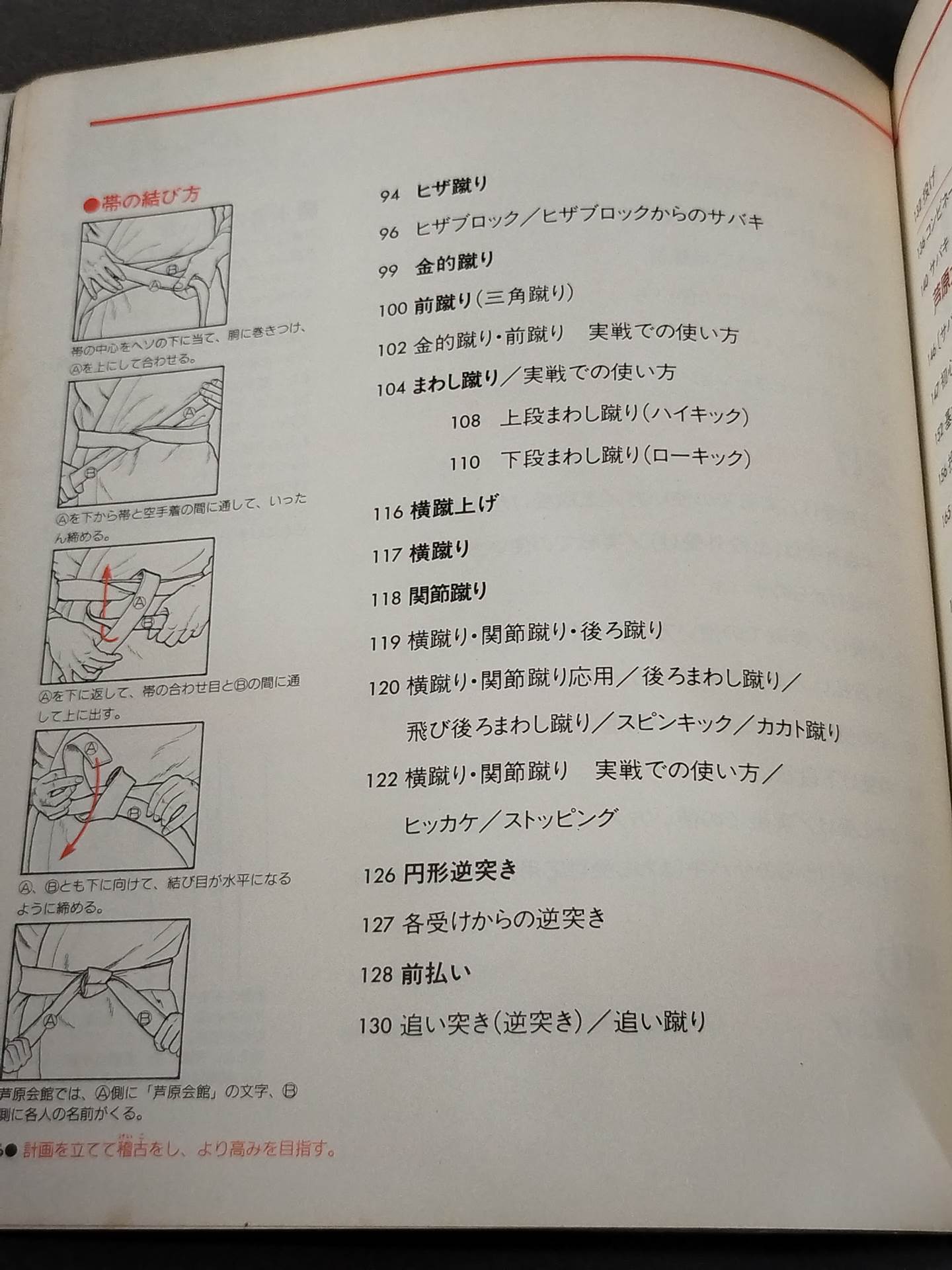 Combat! KARATE  Ashihara 3 Basics