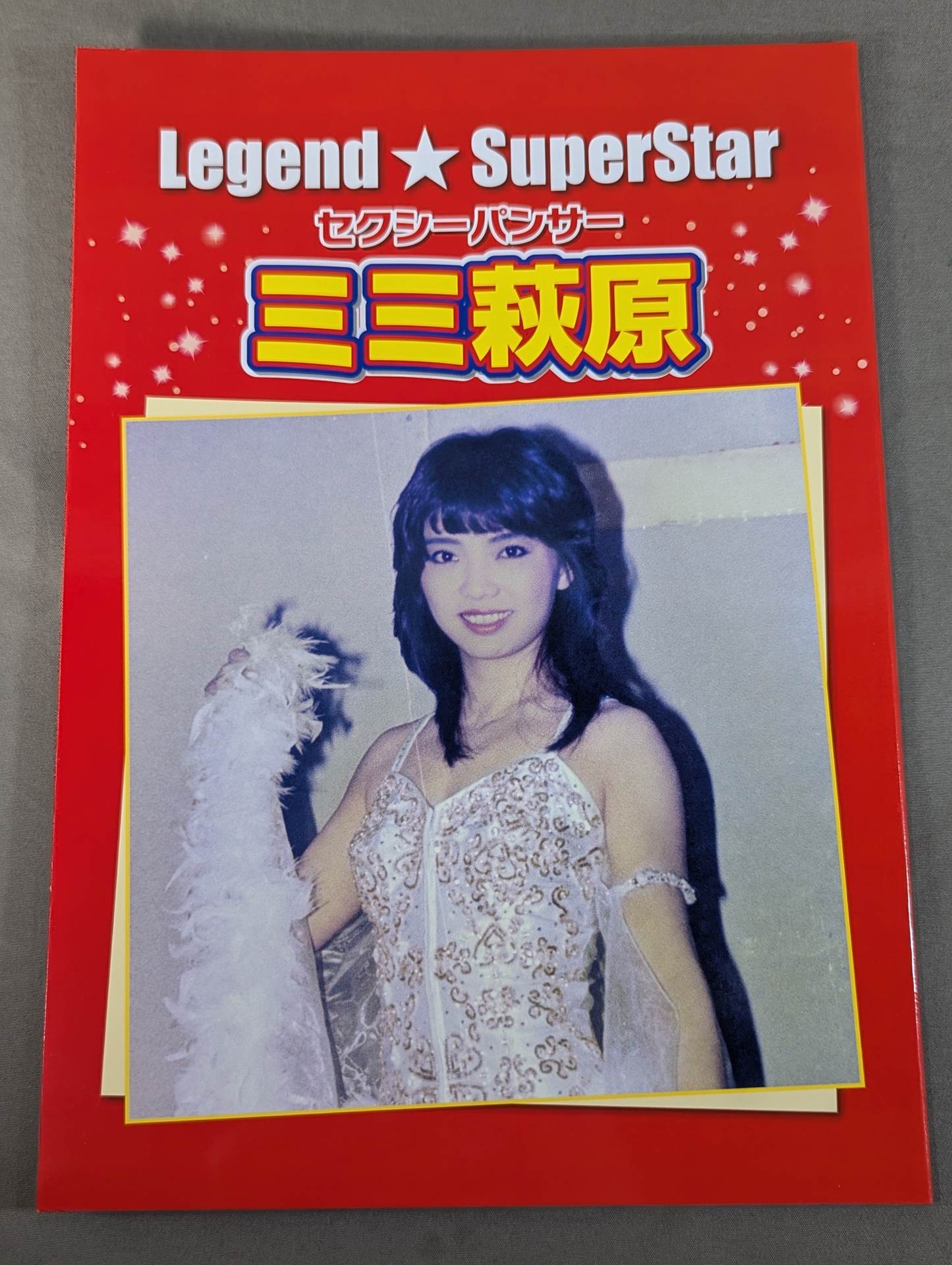 Legend☆SuperStar セクシーパンサー ミミ萩原 写真集 – 闘道館