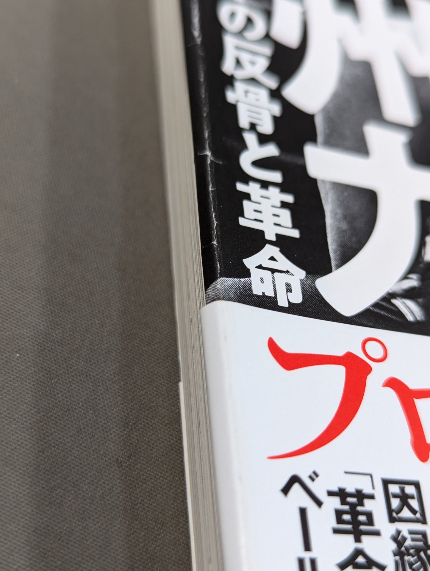 証言 長州力 在日レスラーの反骨と革命