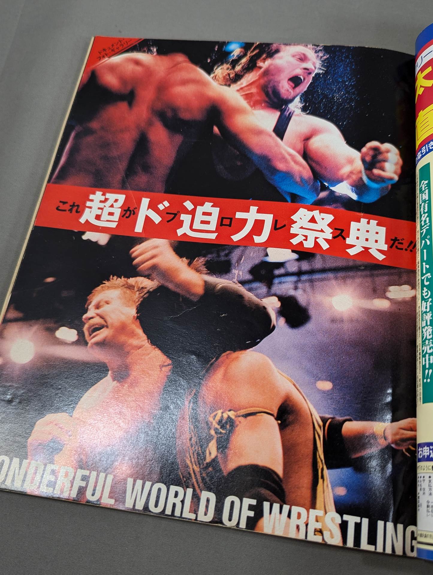 ラジカルプロレス新時代マガジンVol.1 超プロレス