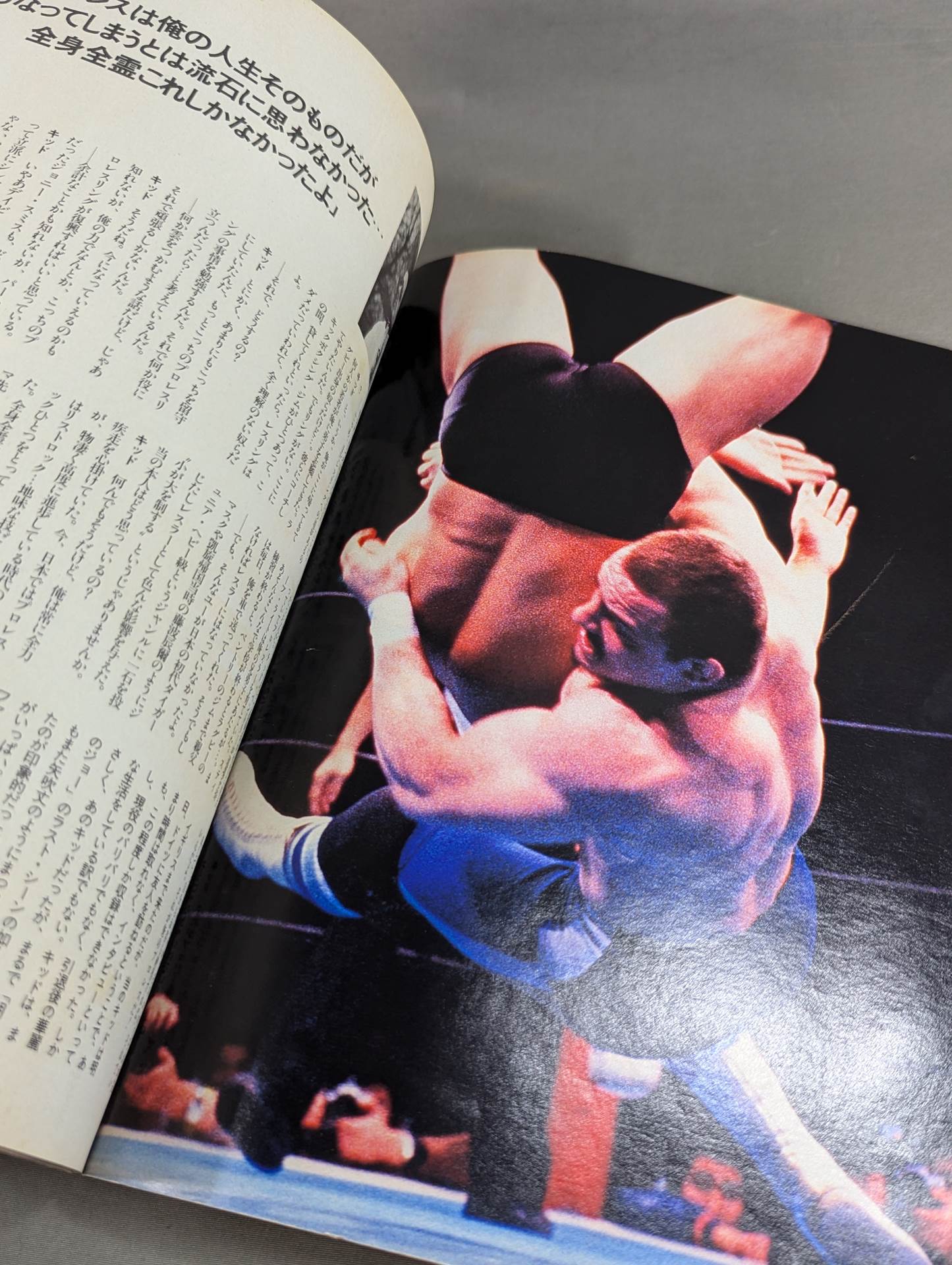 ラジカルプロレス新時代マガジンVol.1 超プロレス