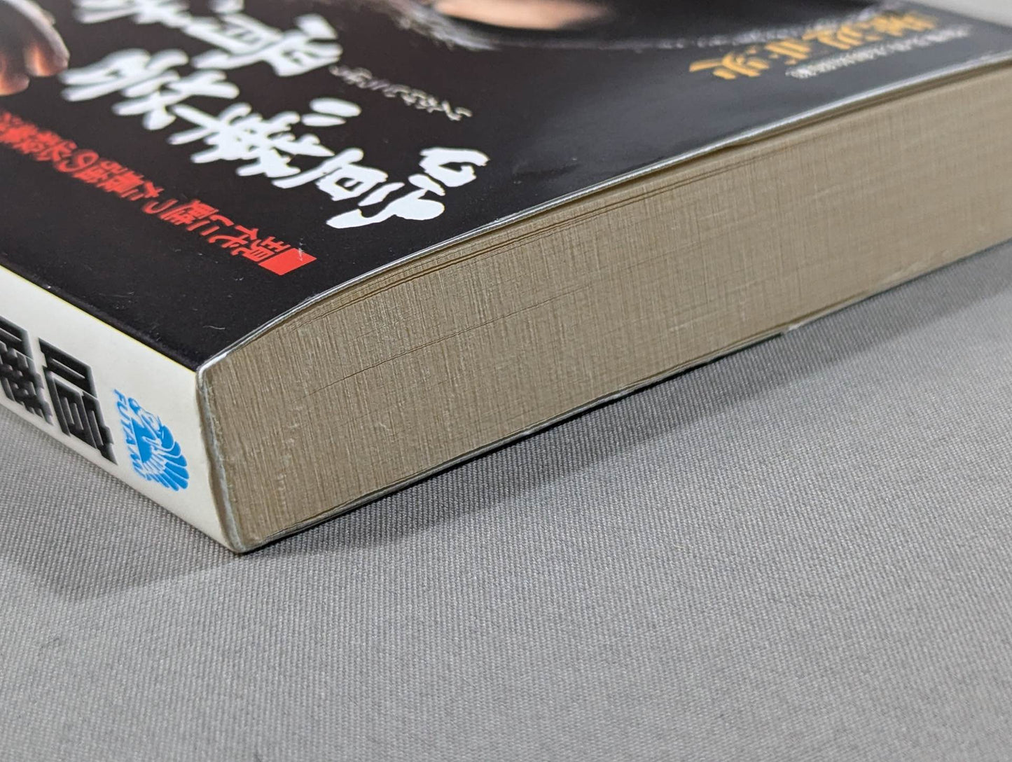 喧嘩芸骨法 現代に甦った最強の必殺拳法