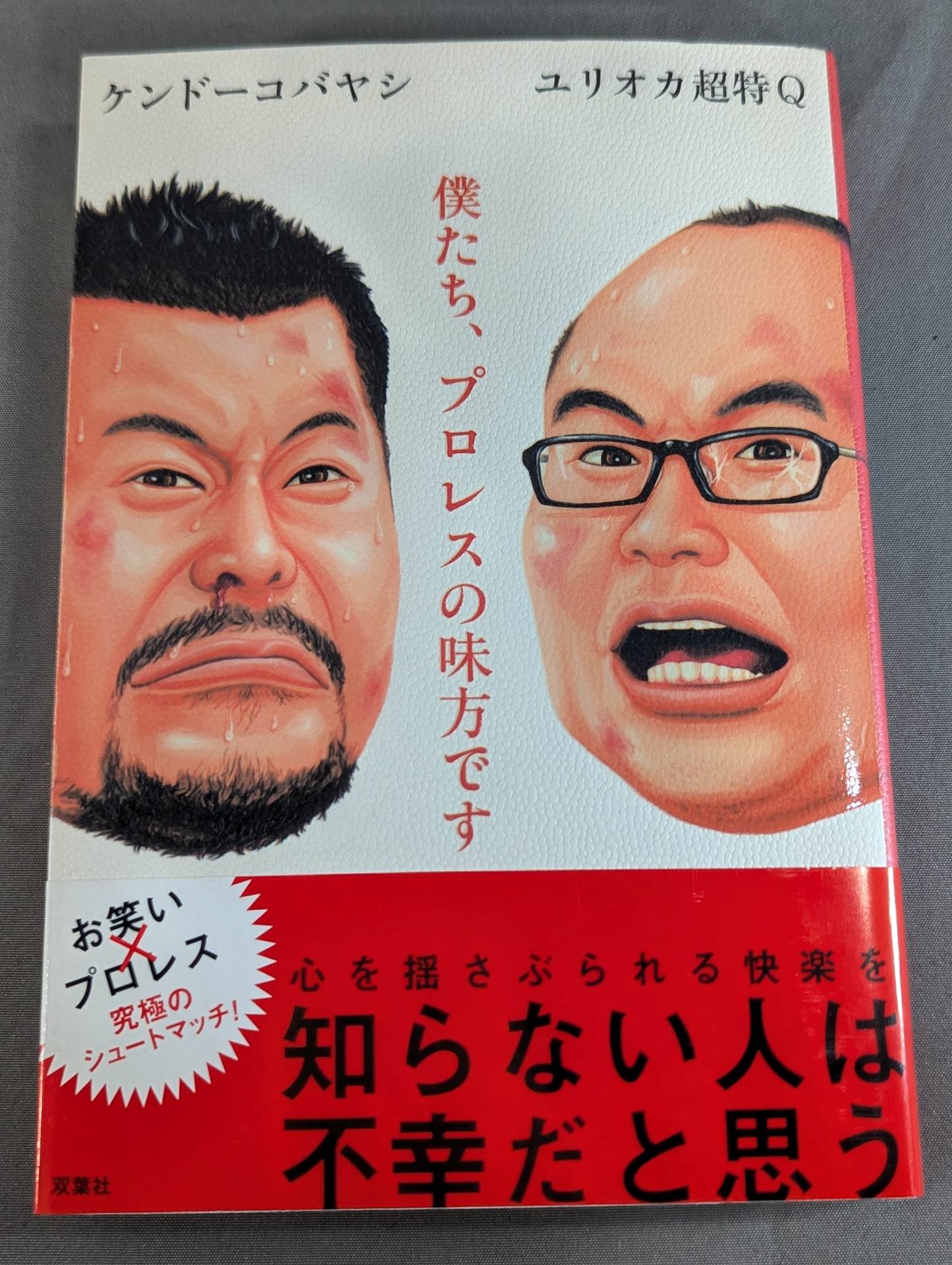 僕たち、プロレスの味方です