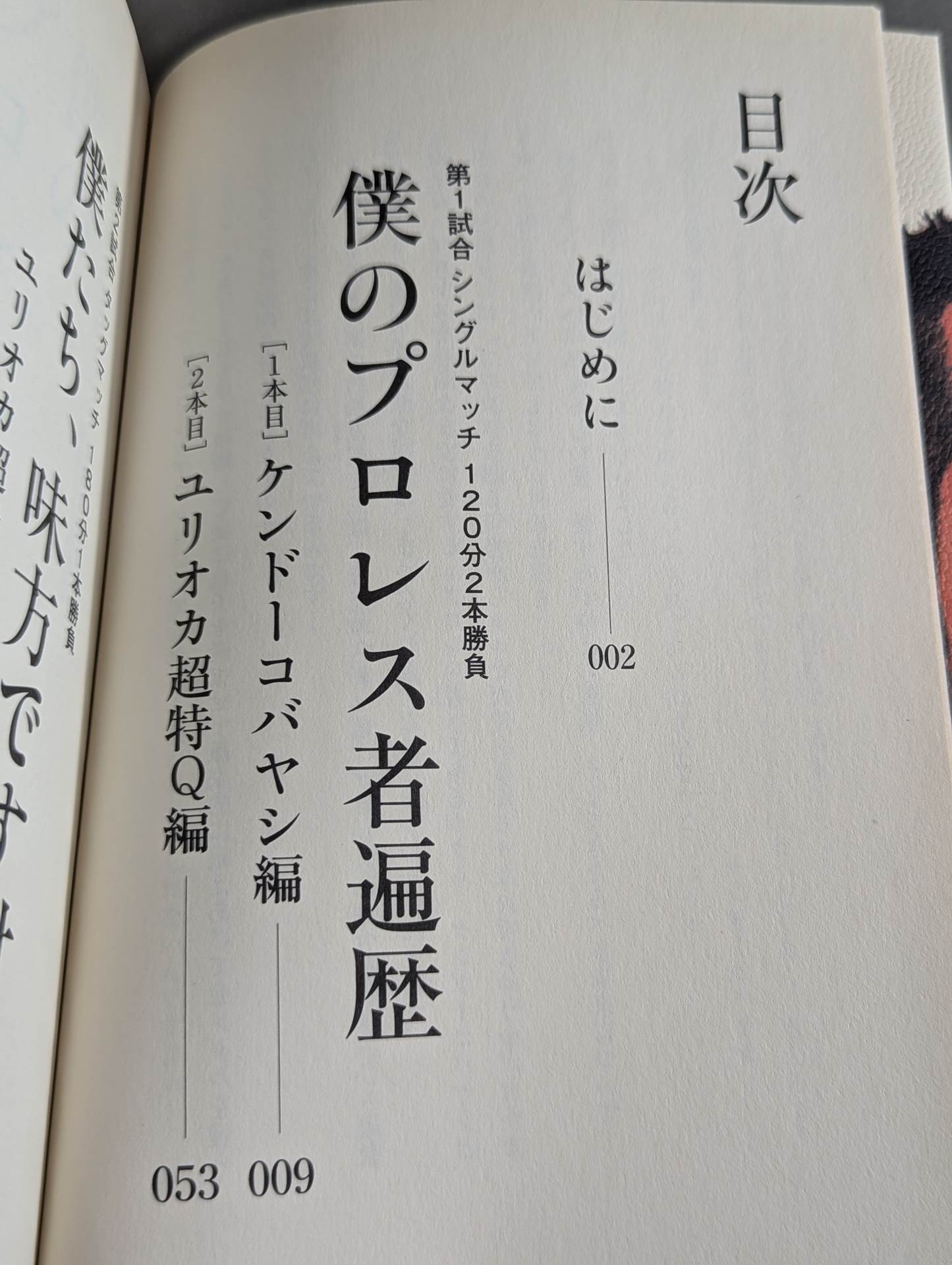 僕たち、プロレスの味方です