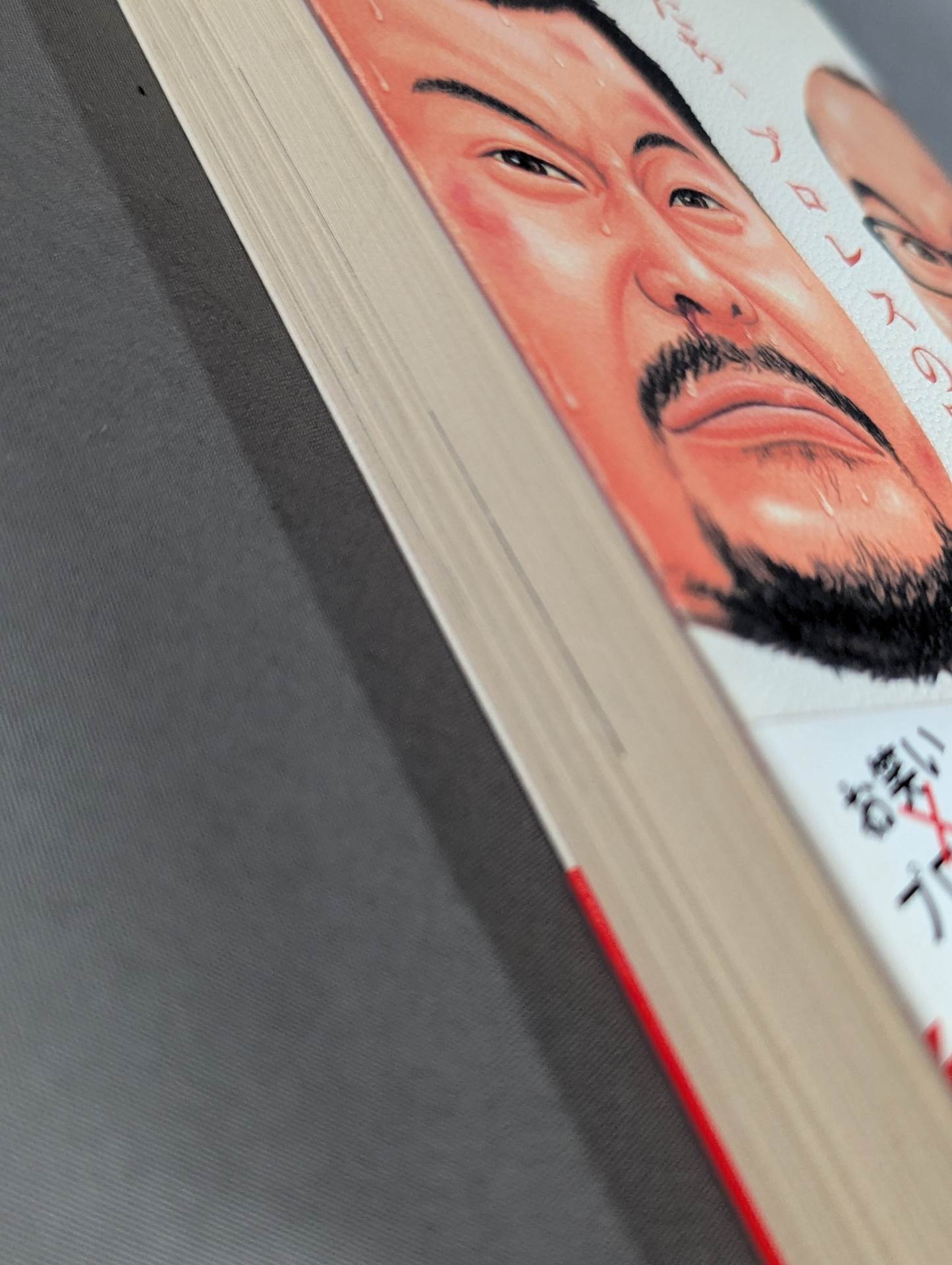 僕たち、プロレスの味方です