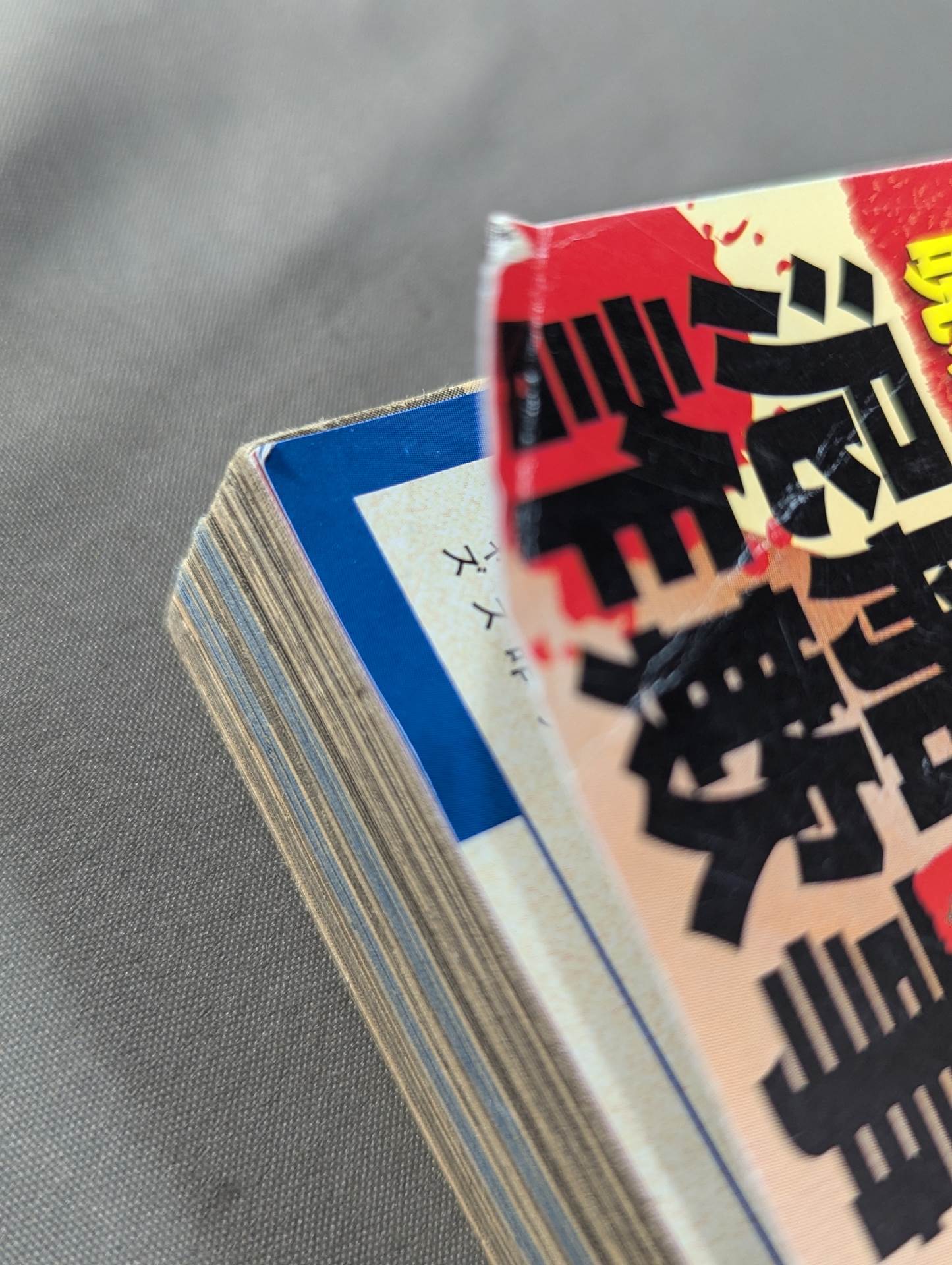まんが あなたの知らない崩壊マット世界