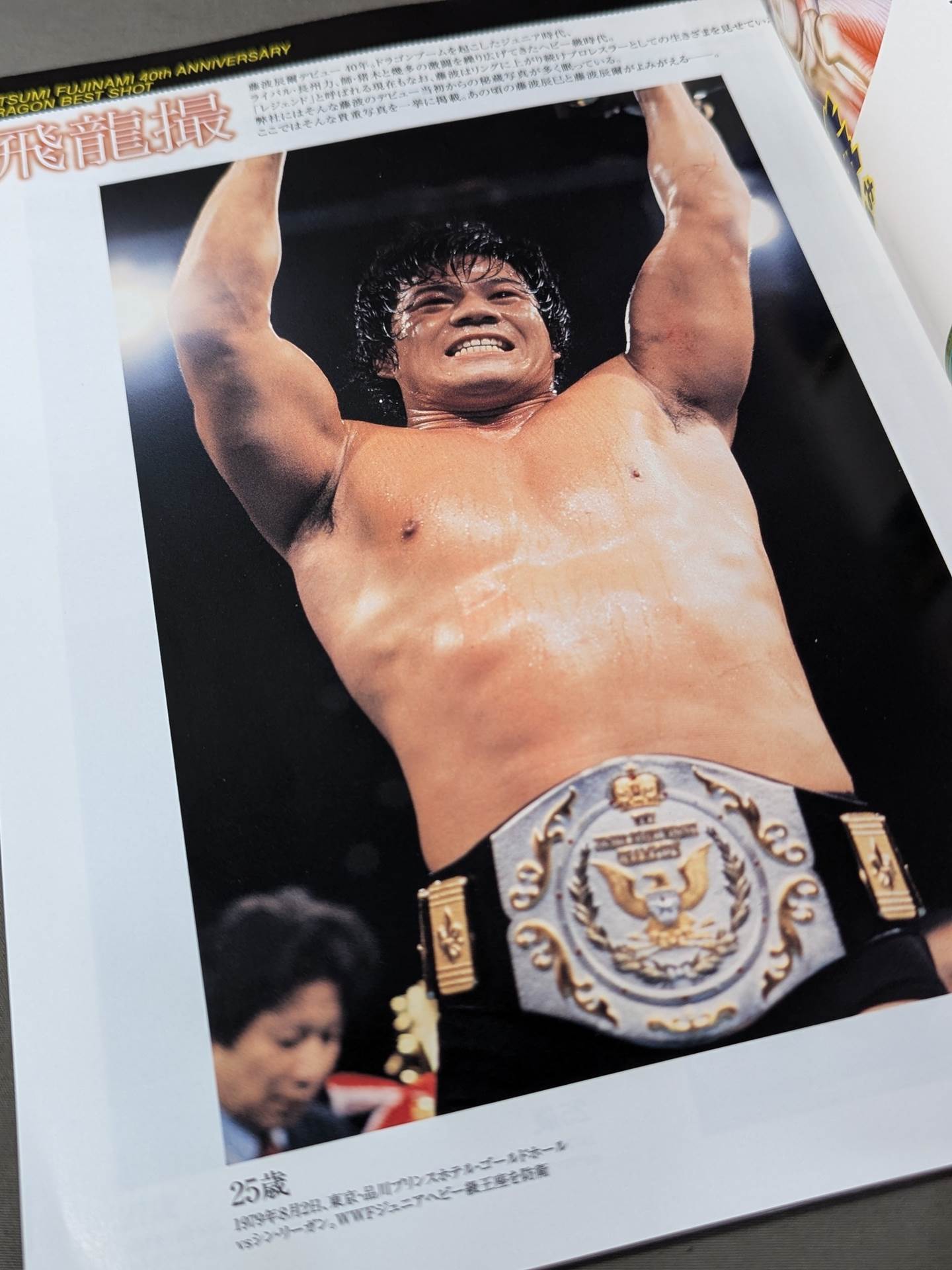 Tatsumi Fujinami Flame Flying Dragon 40 Years Permanent Preservation Edition Debut 40th Anniversary