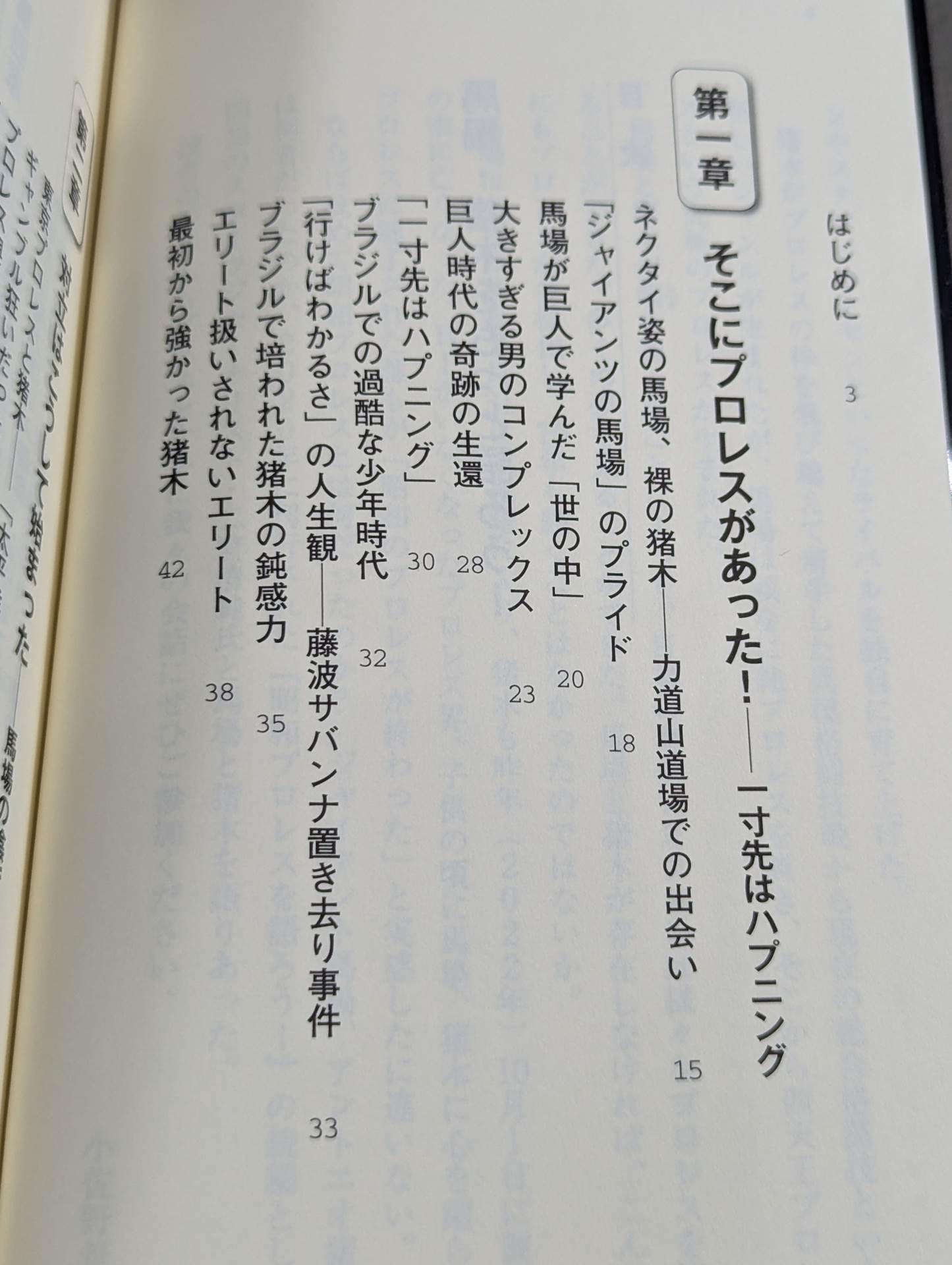 Let's talk more about Baba and Inoki !