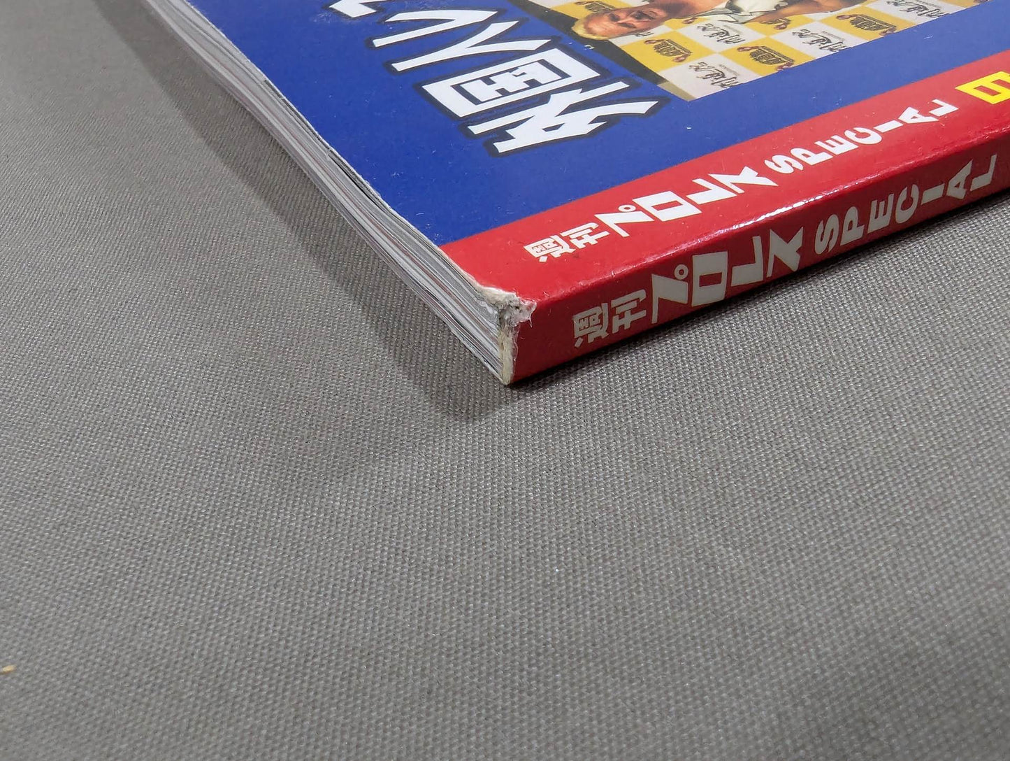 Japan Pro Wrestling Case History Vol.2 TV The Rise and Fall of Pro Wrestling