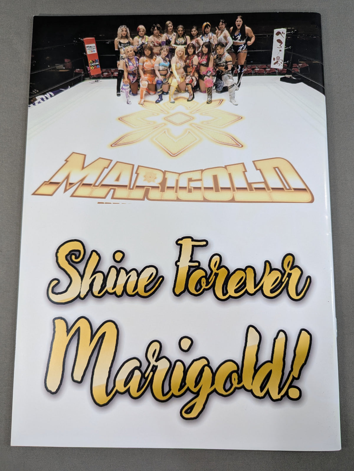 Marigold Premium Portrait Book
