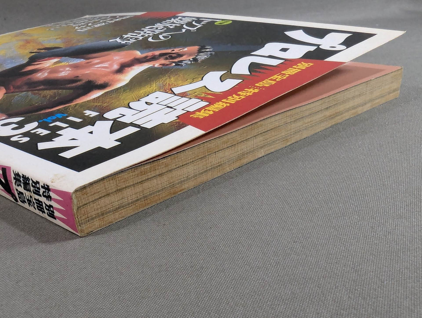 Pro Wrestling Reader Files Vol.3