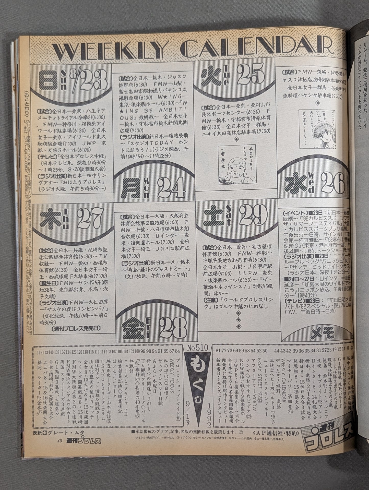 Weekly Pro Wrestling 510