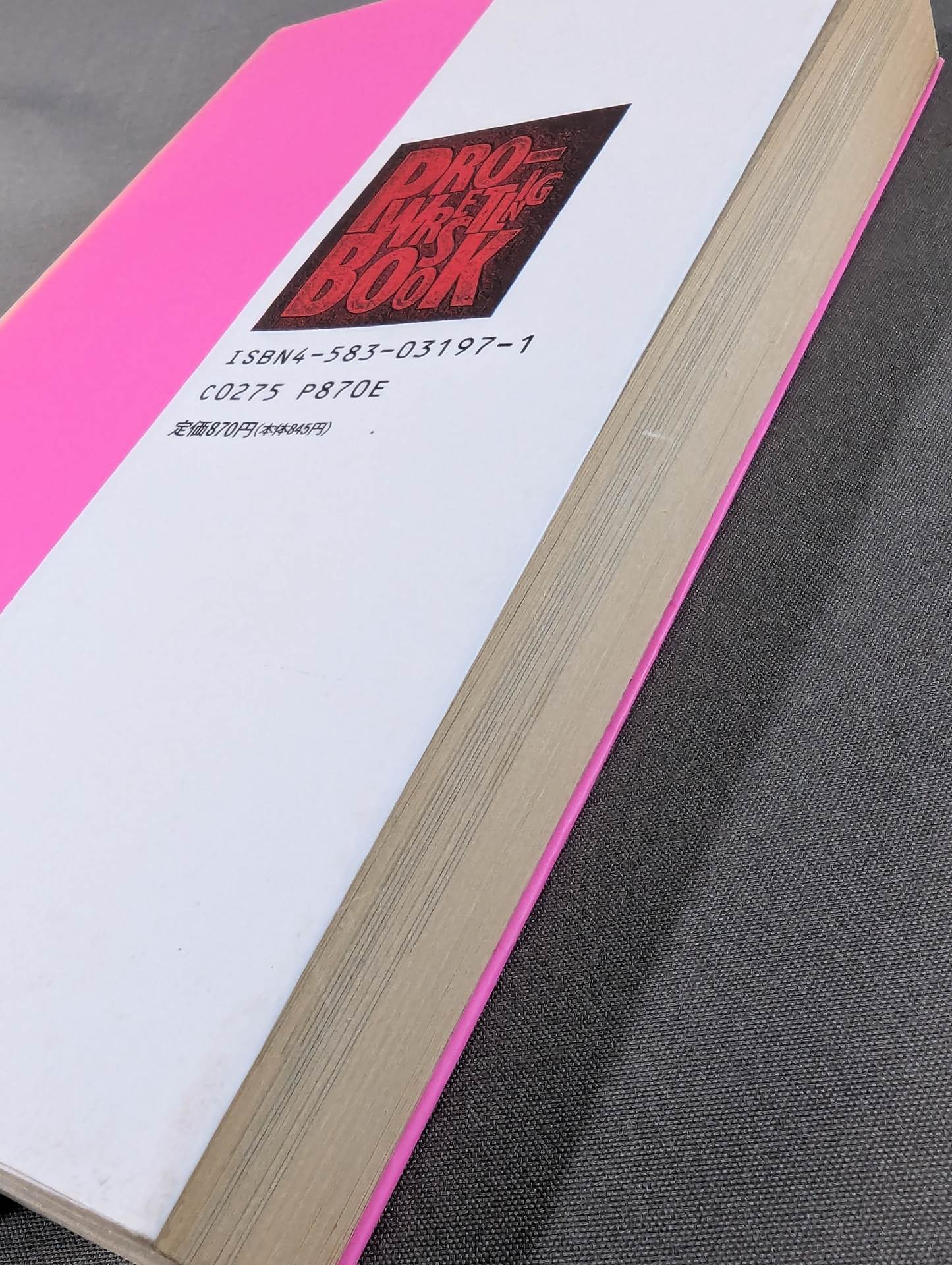 THEプロレス本 No.6 ヤマモかく語りき