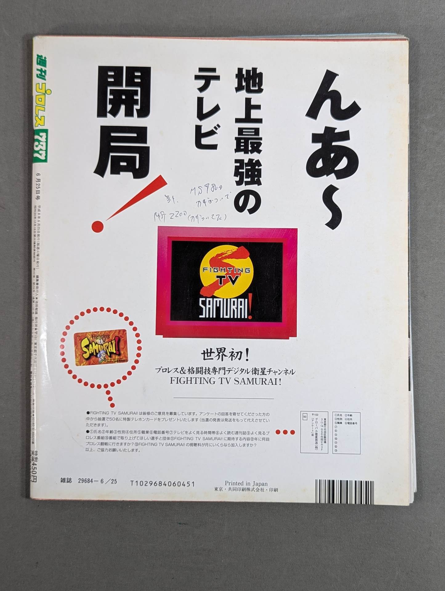 Weekly Pro Wrestling 737