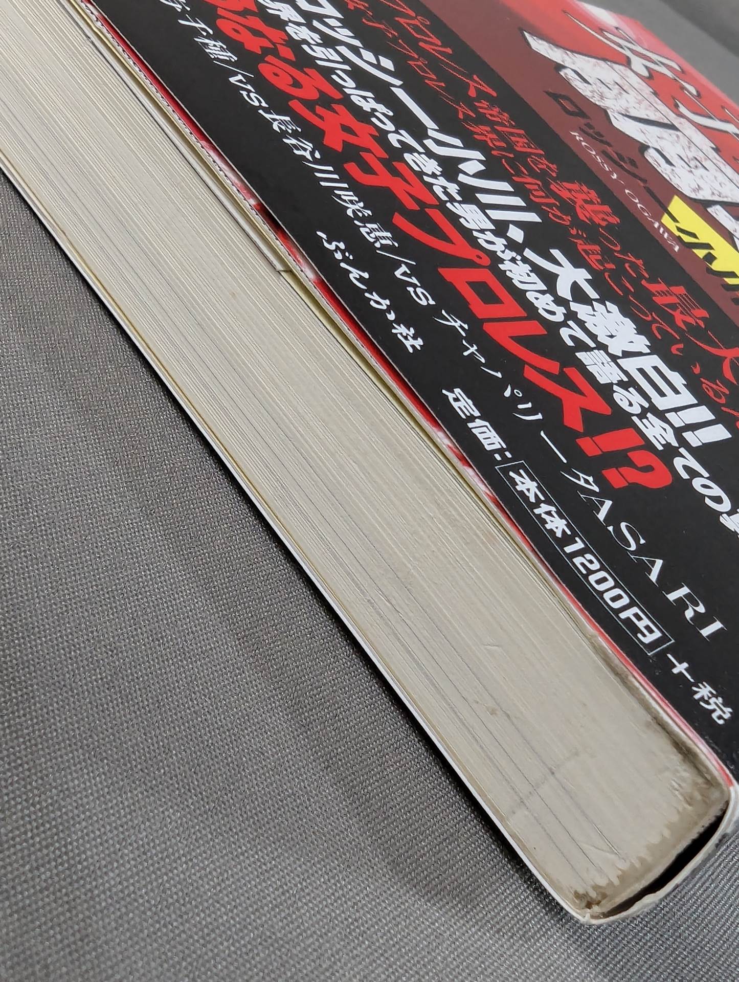 衝撃ドキュメント 女子プロレス崩壊 危機一髪