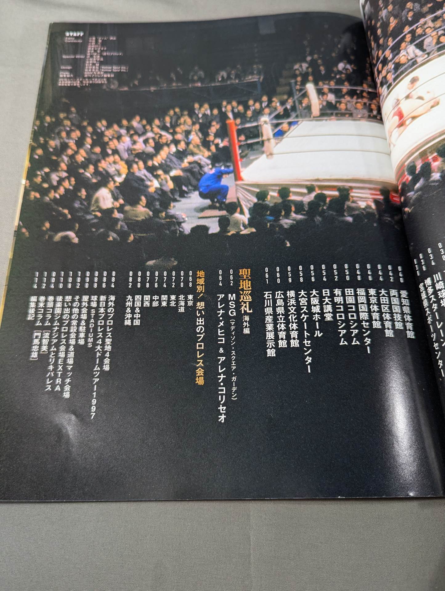Memorable Pro Wrestling Venue Story