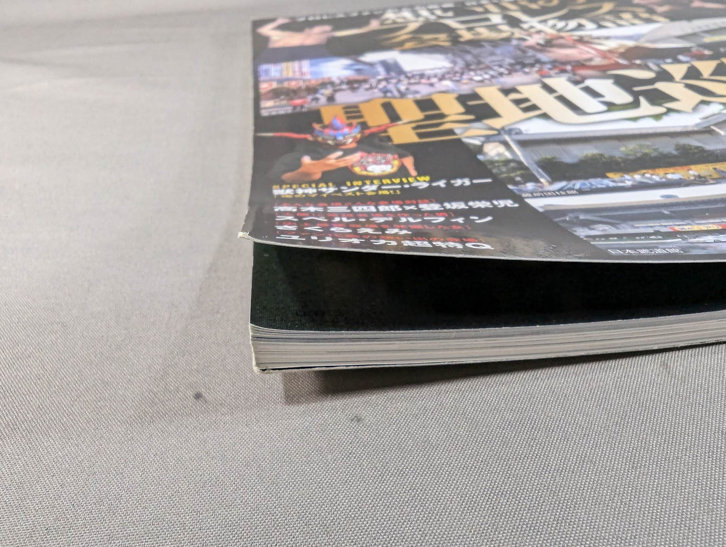 Memorable Pro Wrestling Venue Story