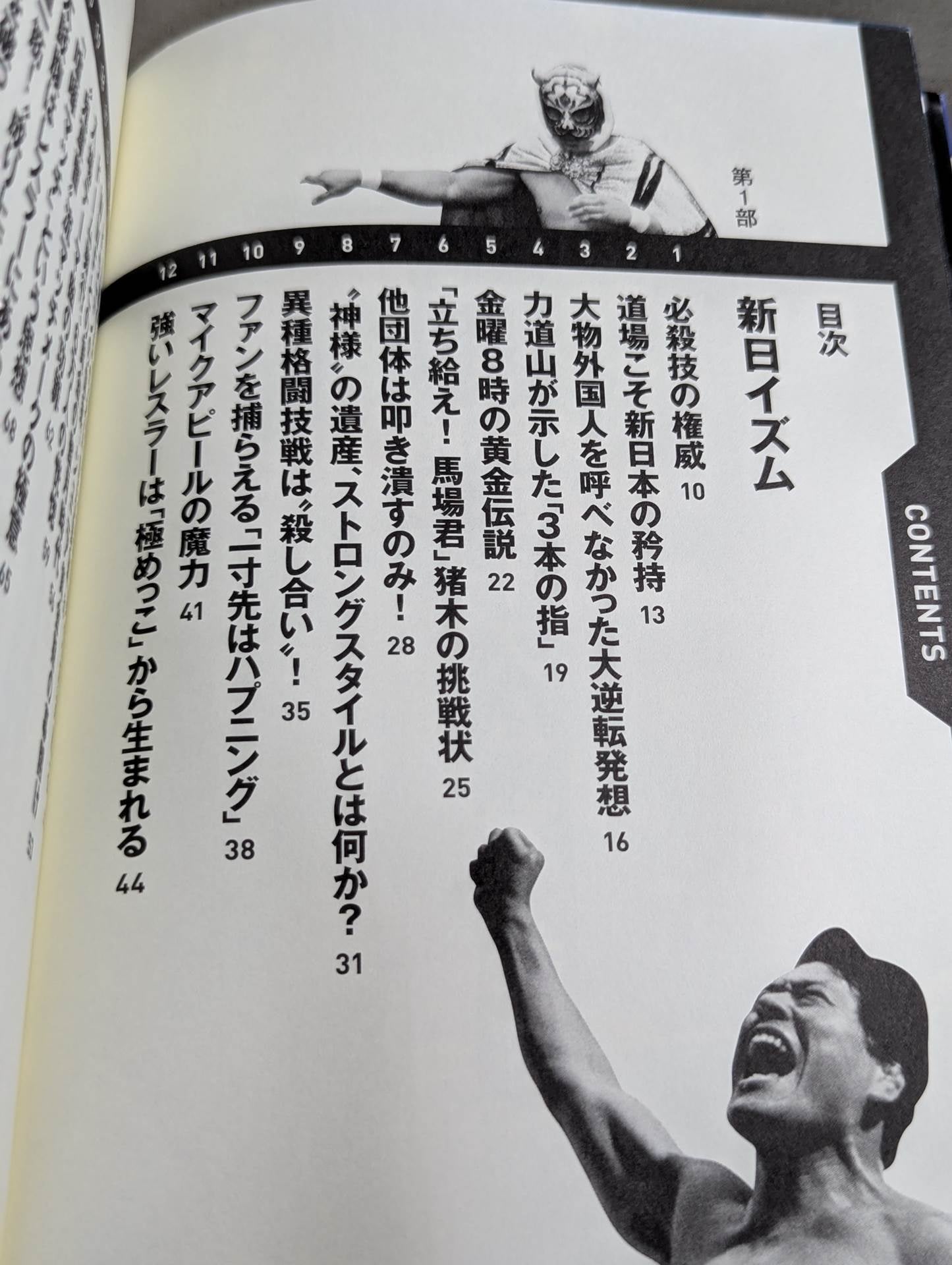 詳説 新日イズム 完全版