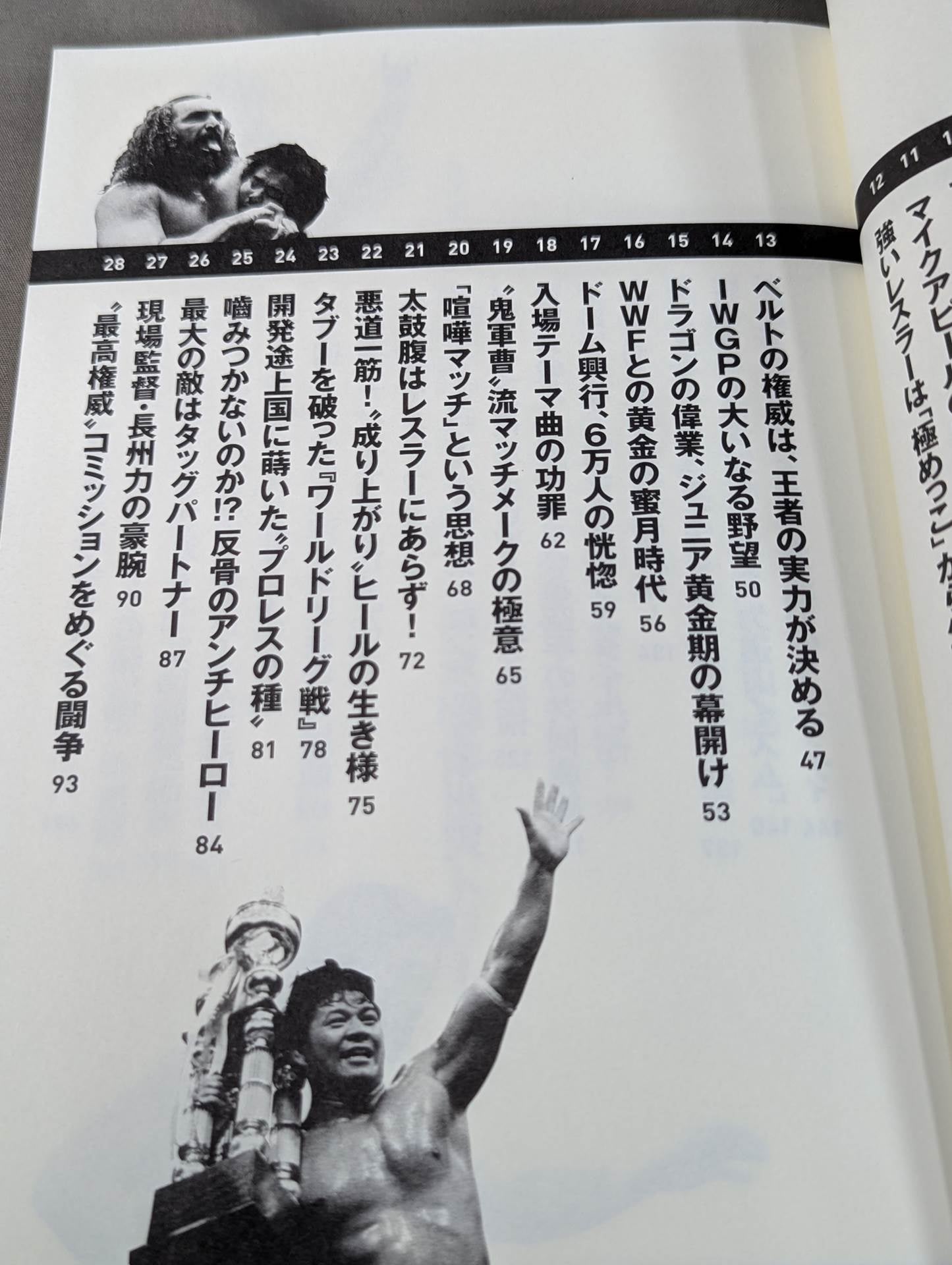 詳説 新日イズム 完全版