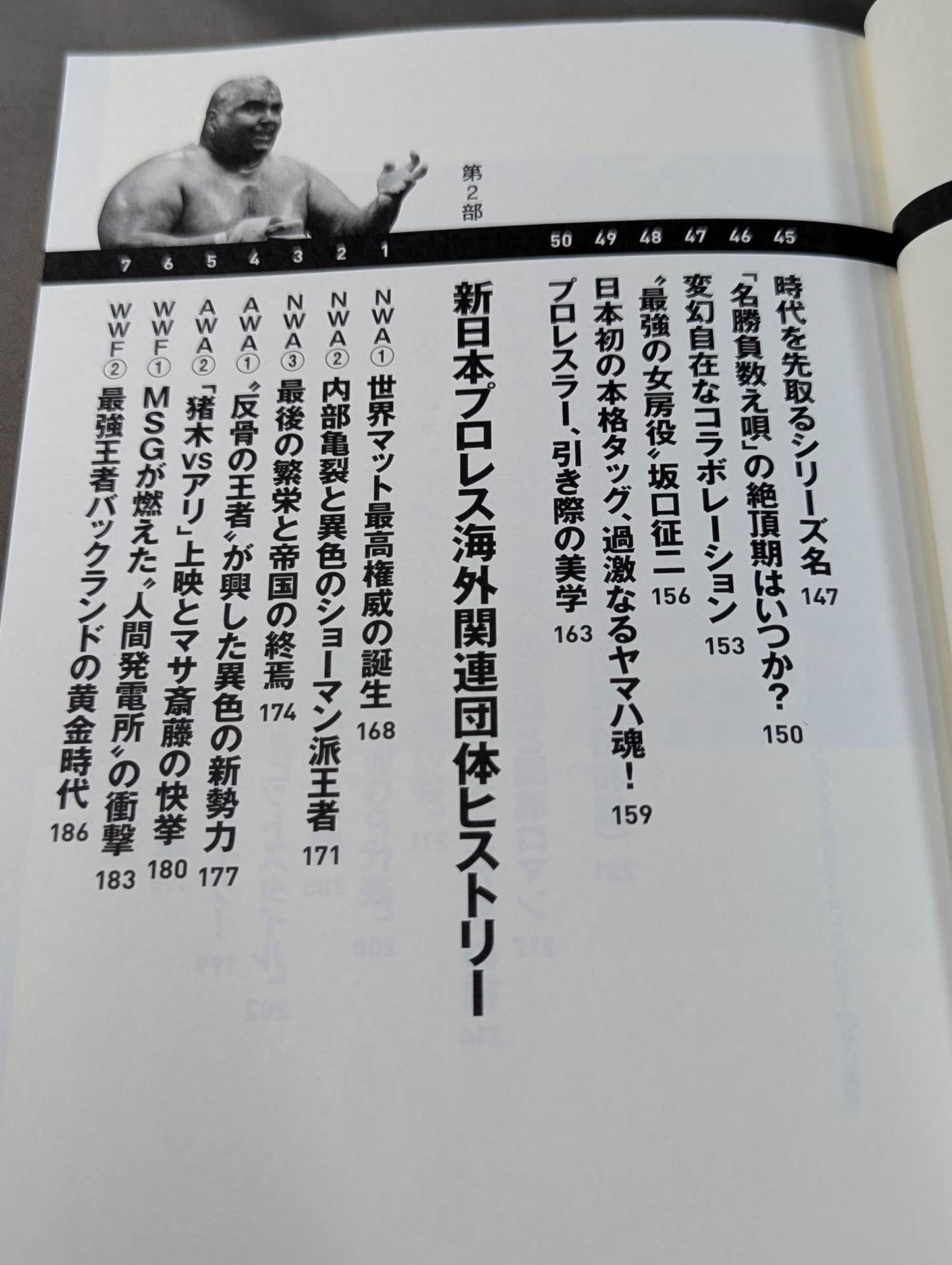 詳説 新日イズム 完全版