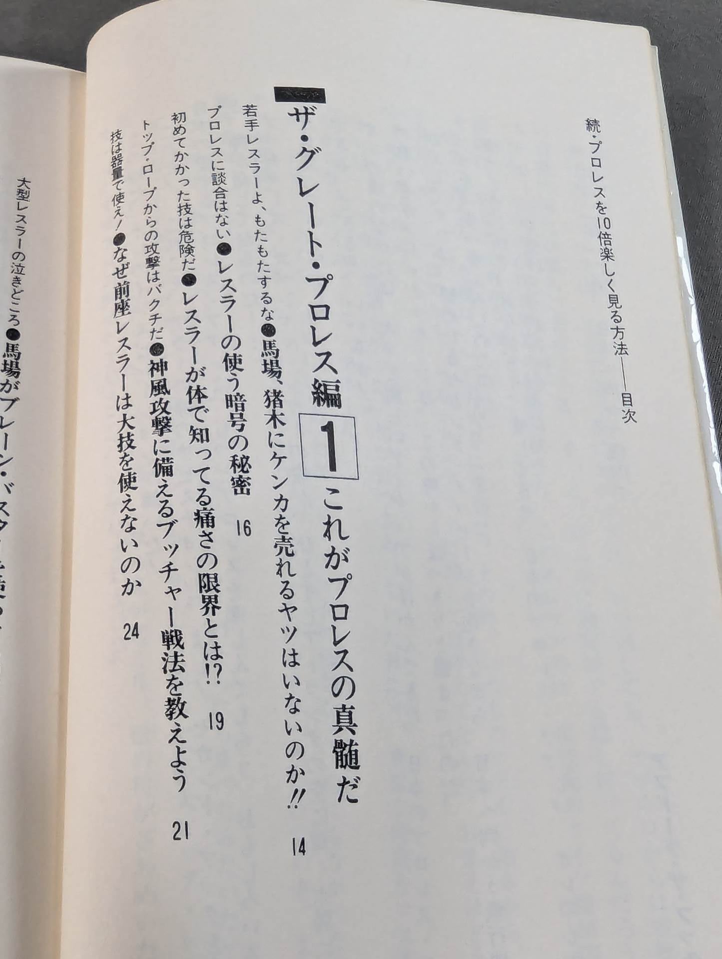 続・プロレスを10倍楽しく見る方法